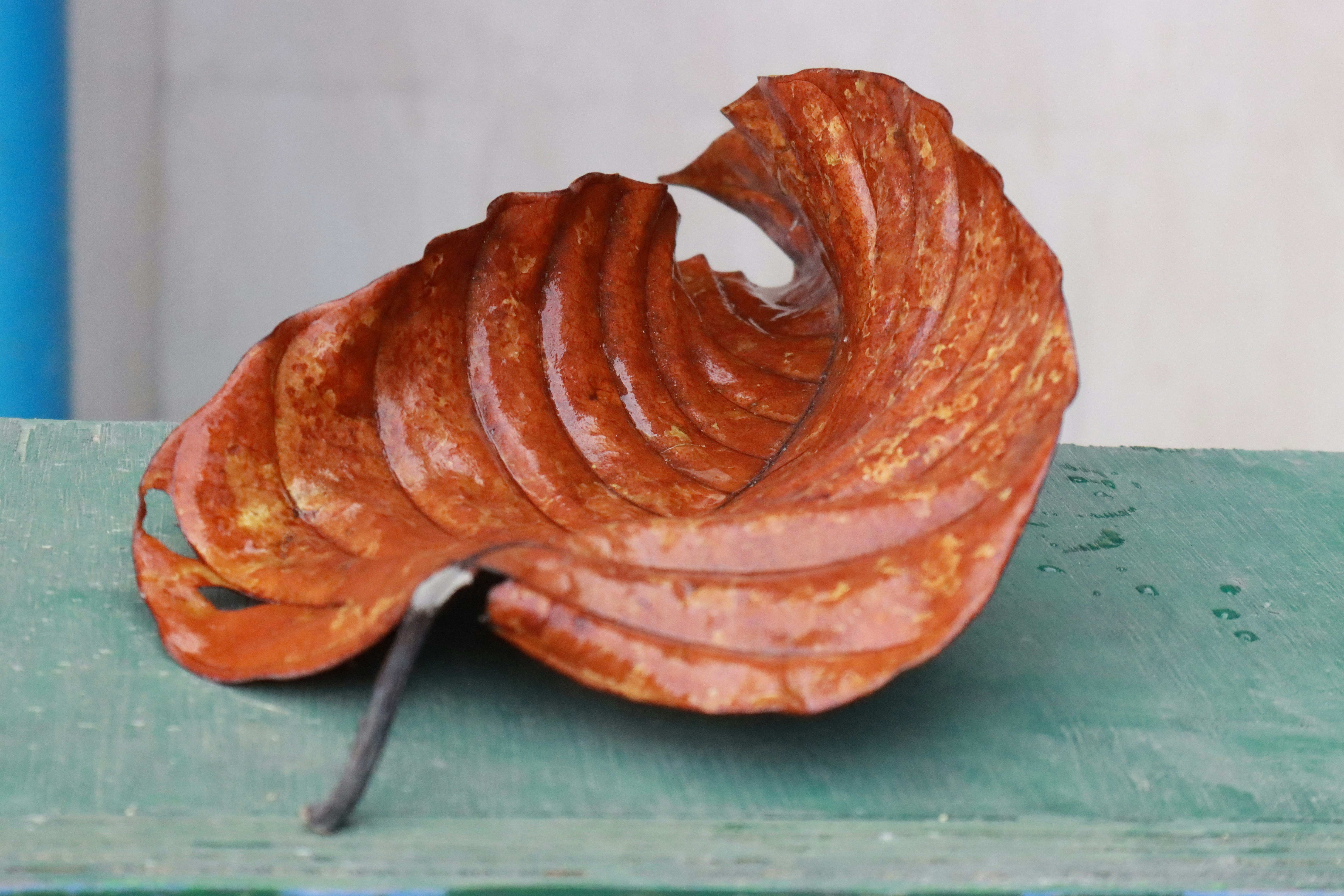 National Glazed Spiral Ham Day