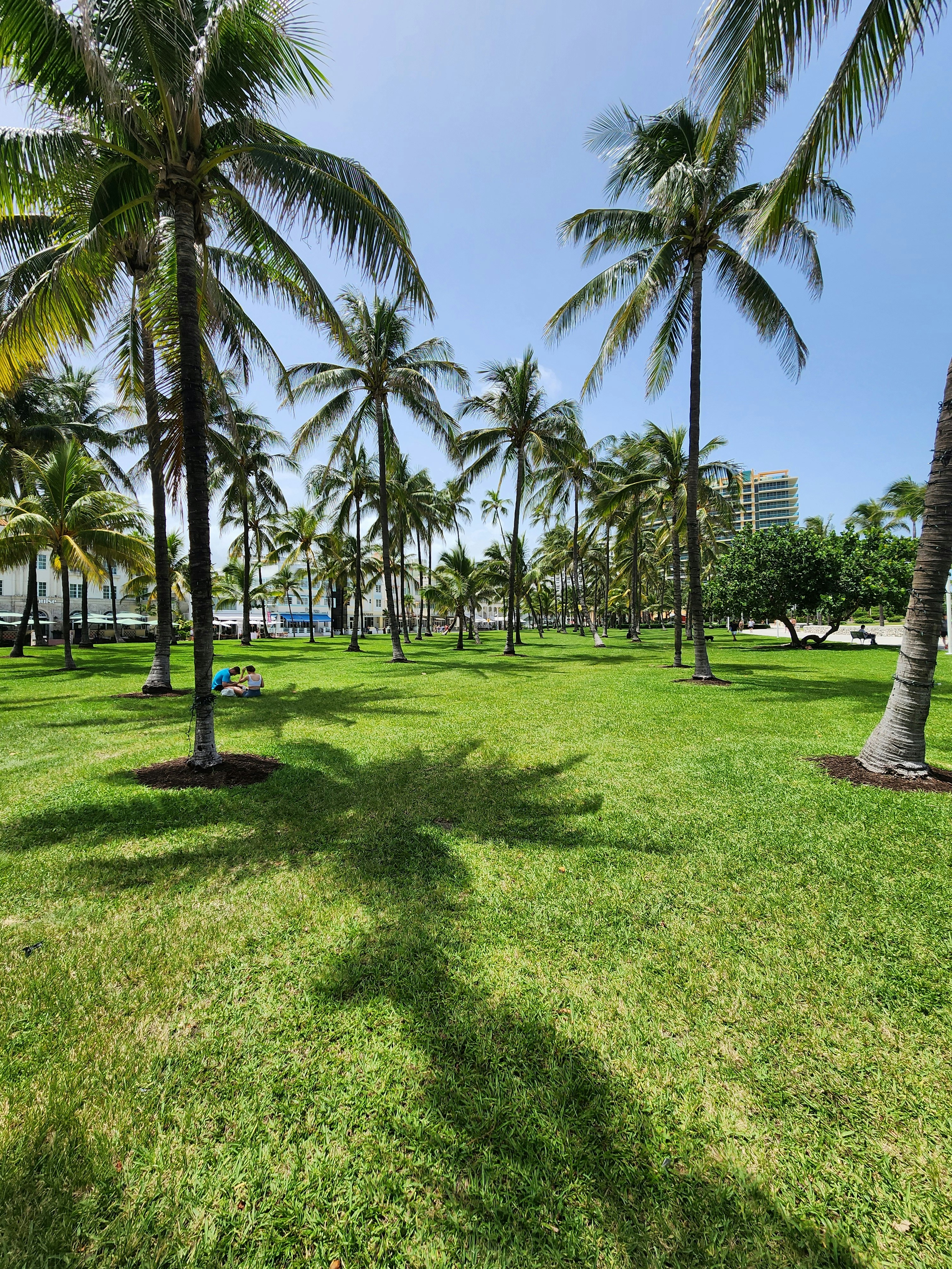 Photo by red_dot_nick