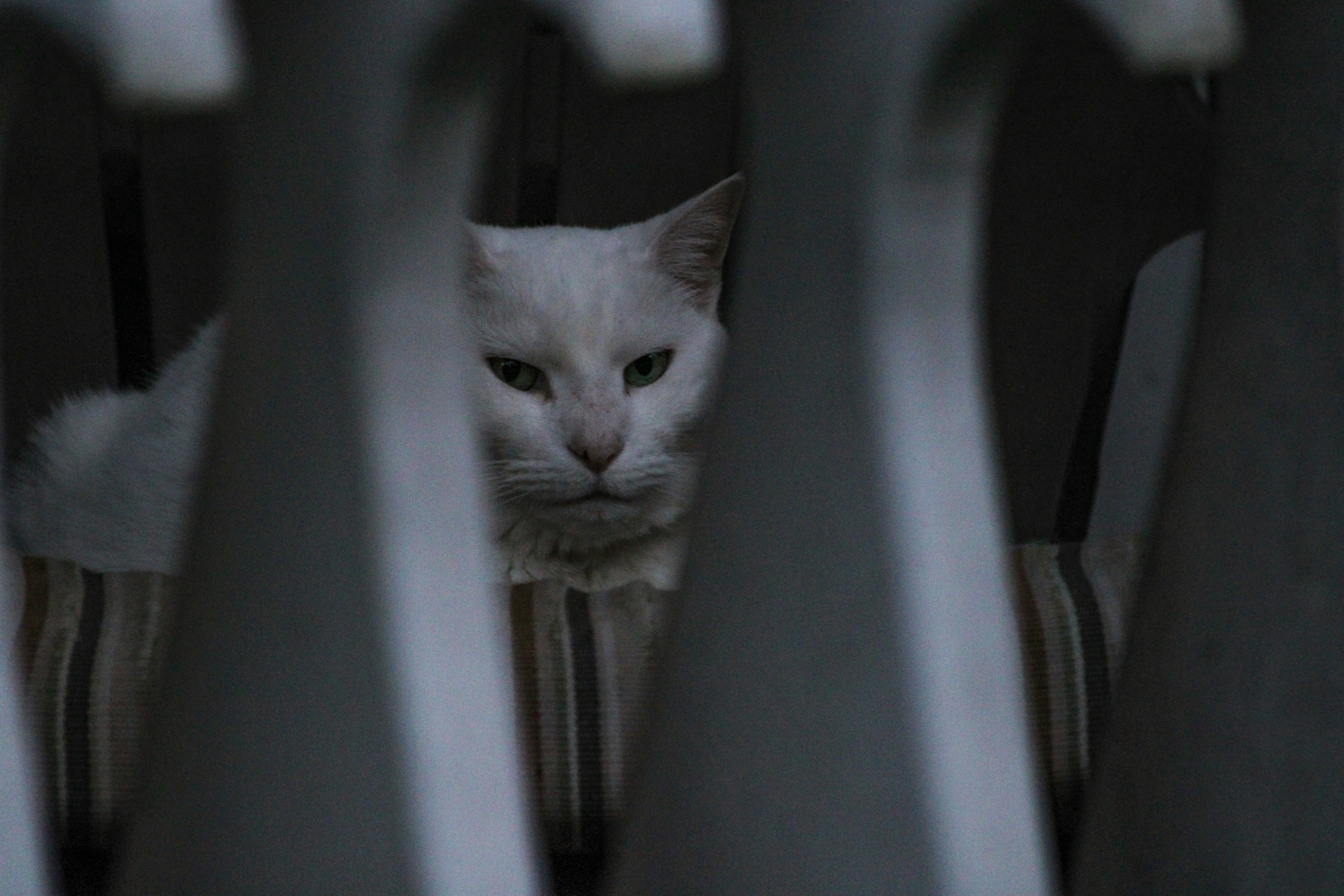 Industrials Sector Eyes $4.1 Trillion Windfall From Proposed Spending Bill