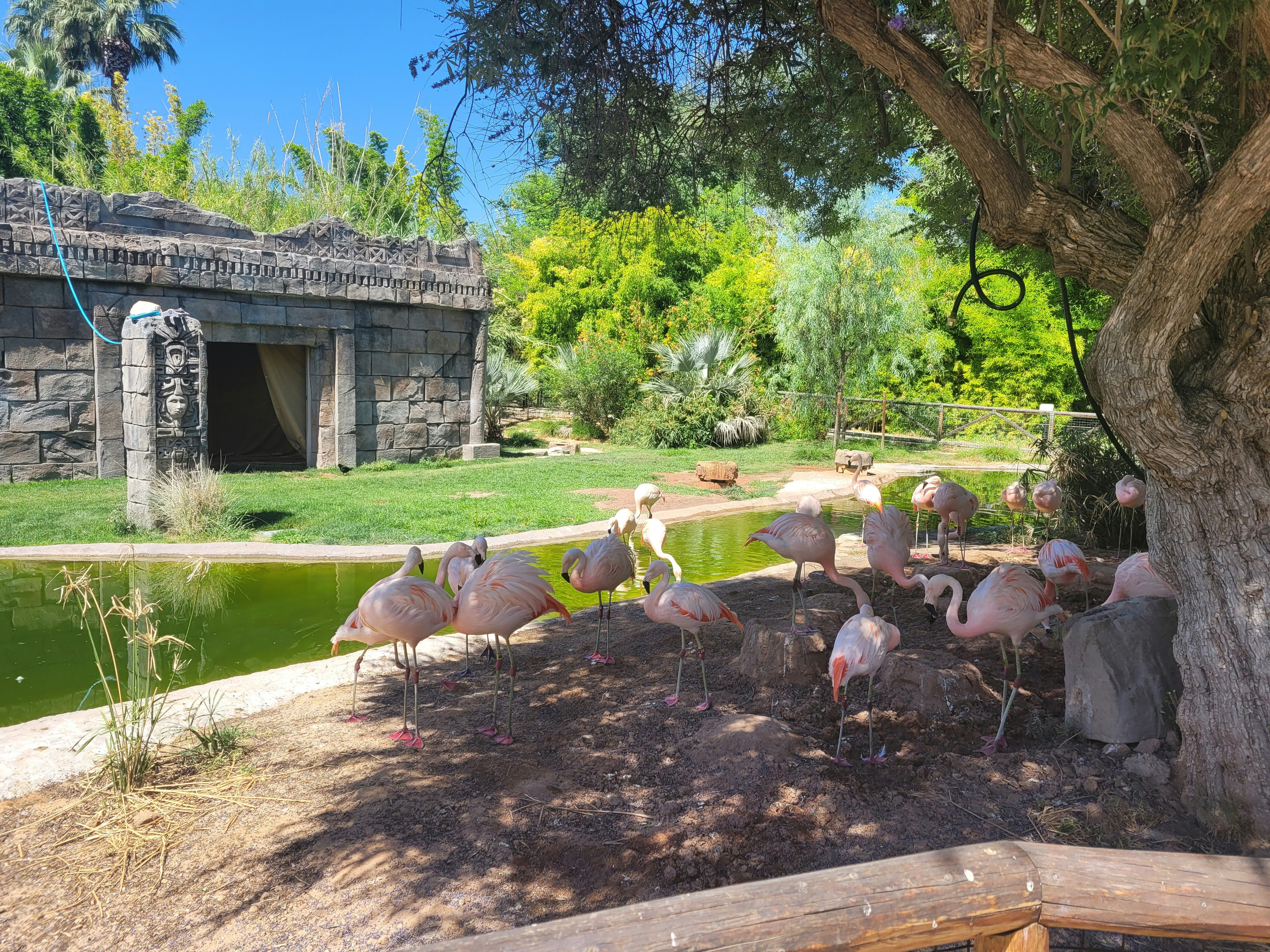 Photo by followersoftheshepherd