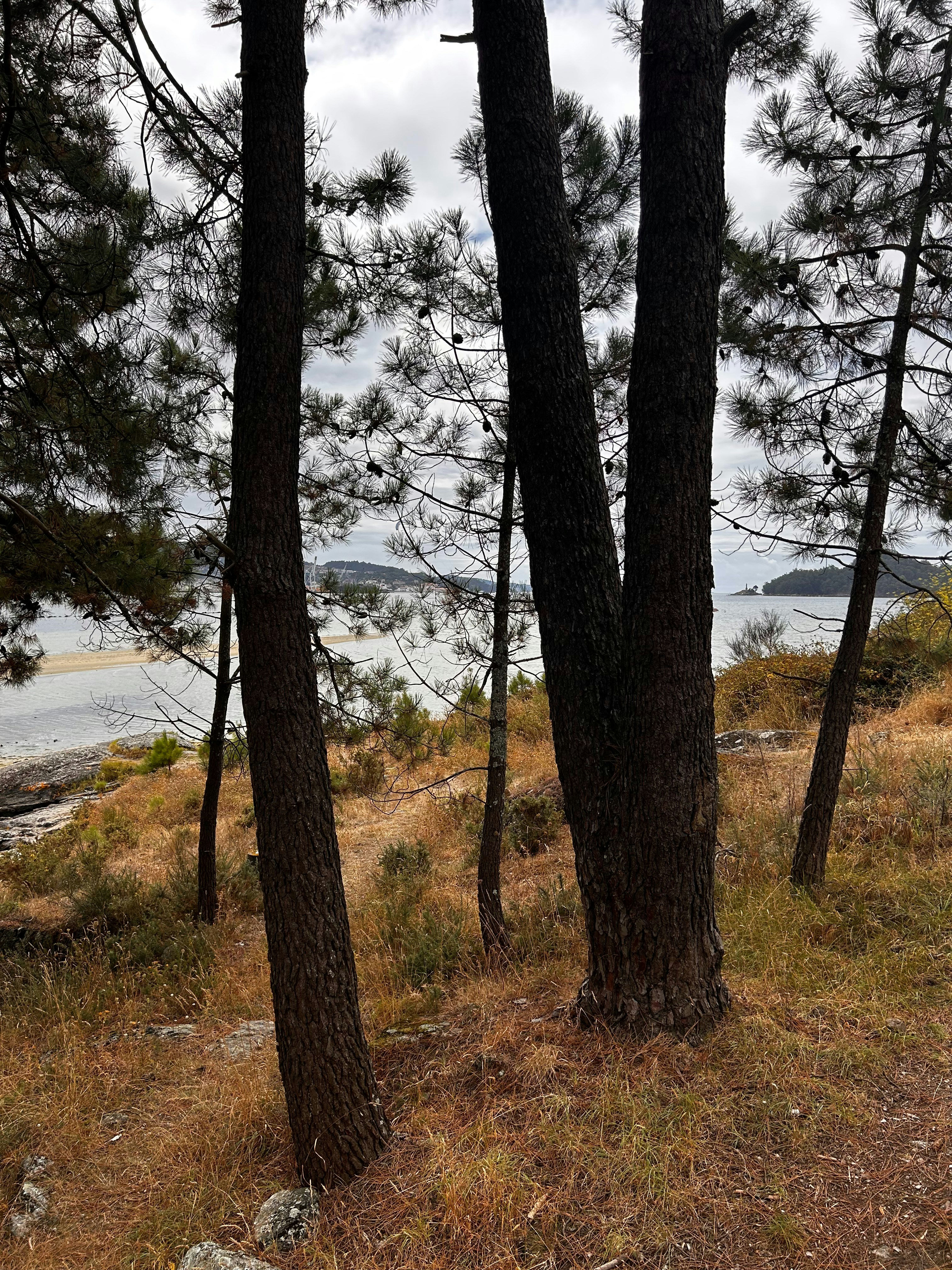 Photo by amouragalaica