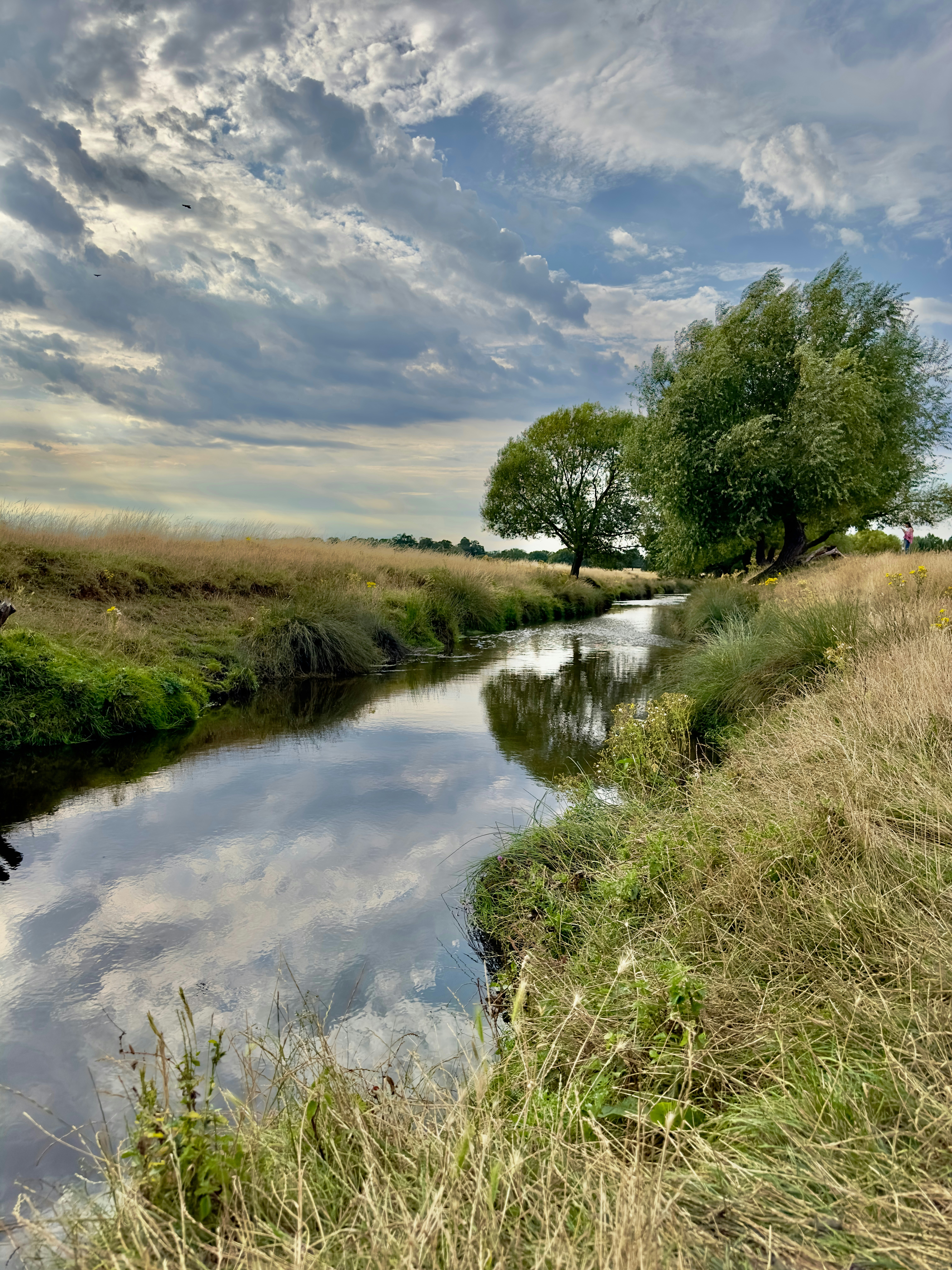 Photo by drussthelegend