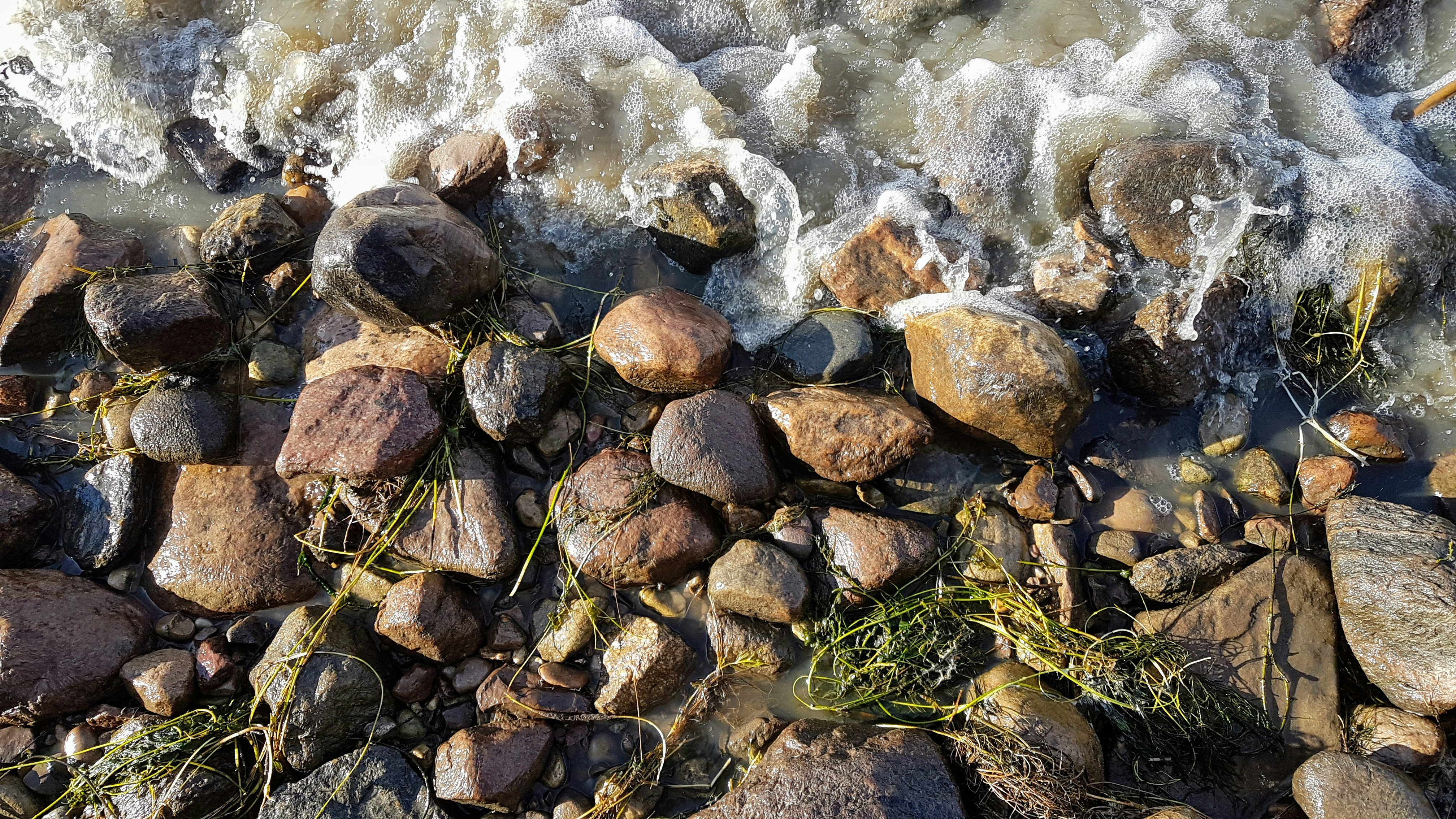 A bunch of rocks sitting on top of a beach