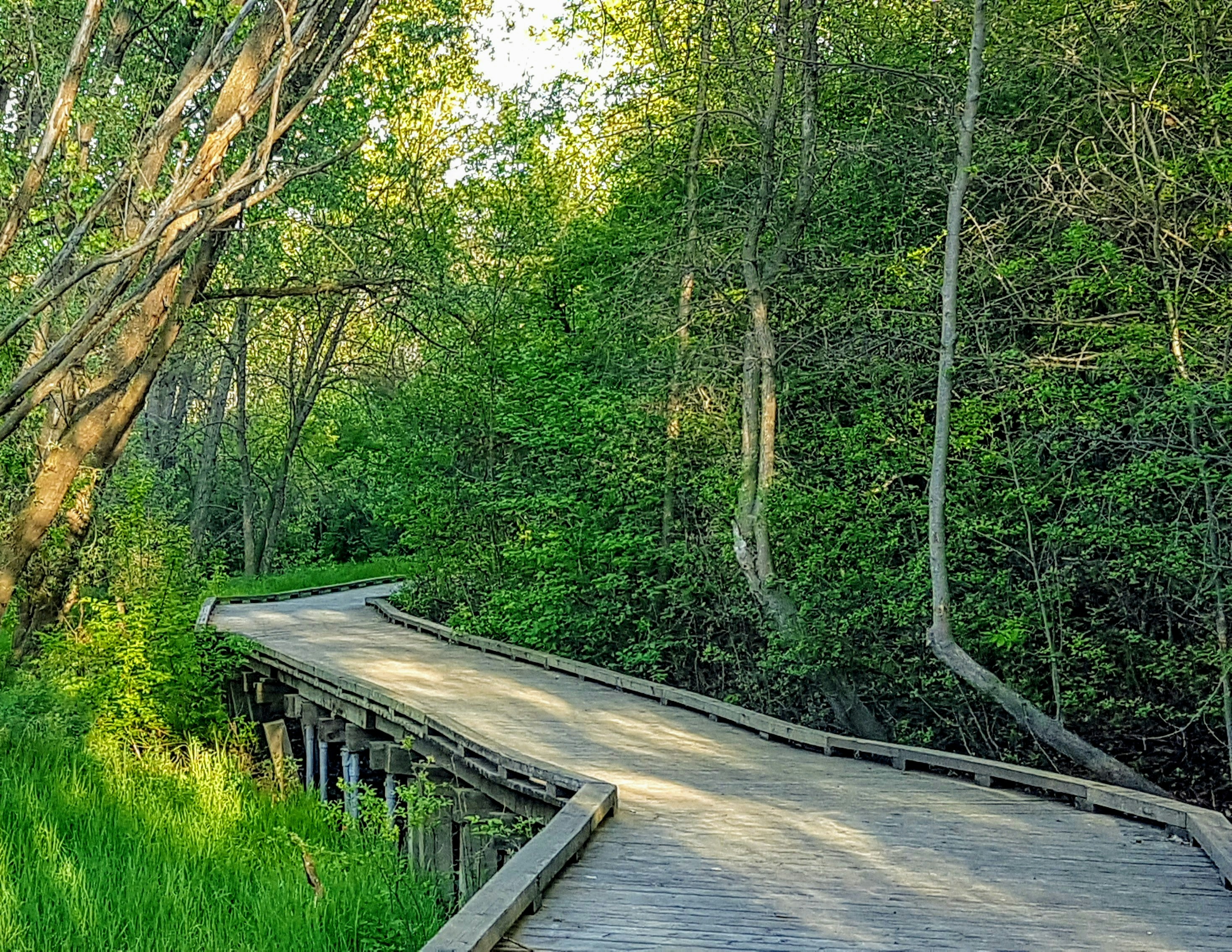 Photo by reading_rachel