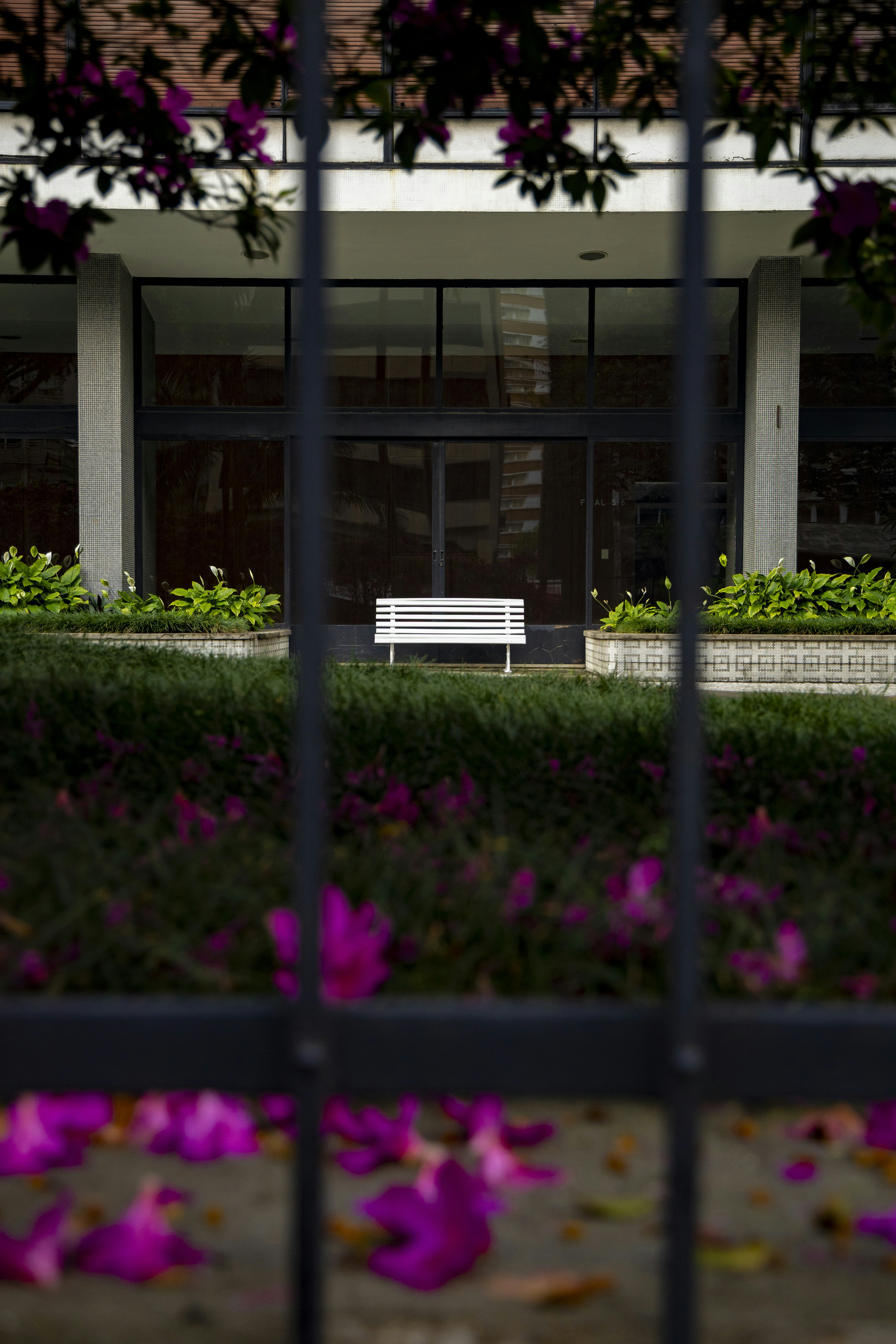 Photo by darwinboaventura