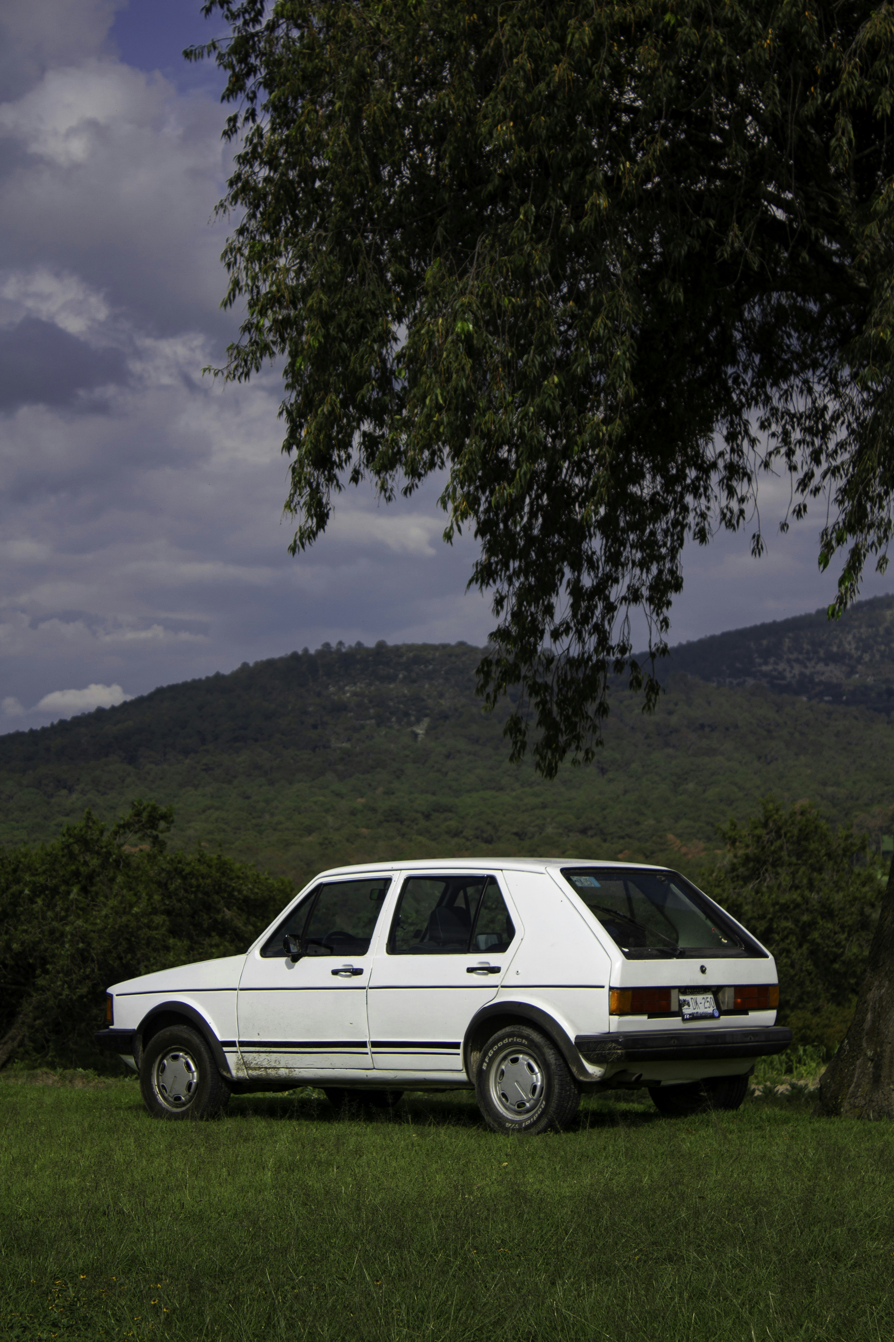 Photo by thalittlemarc