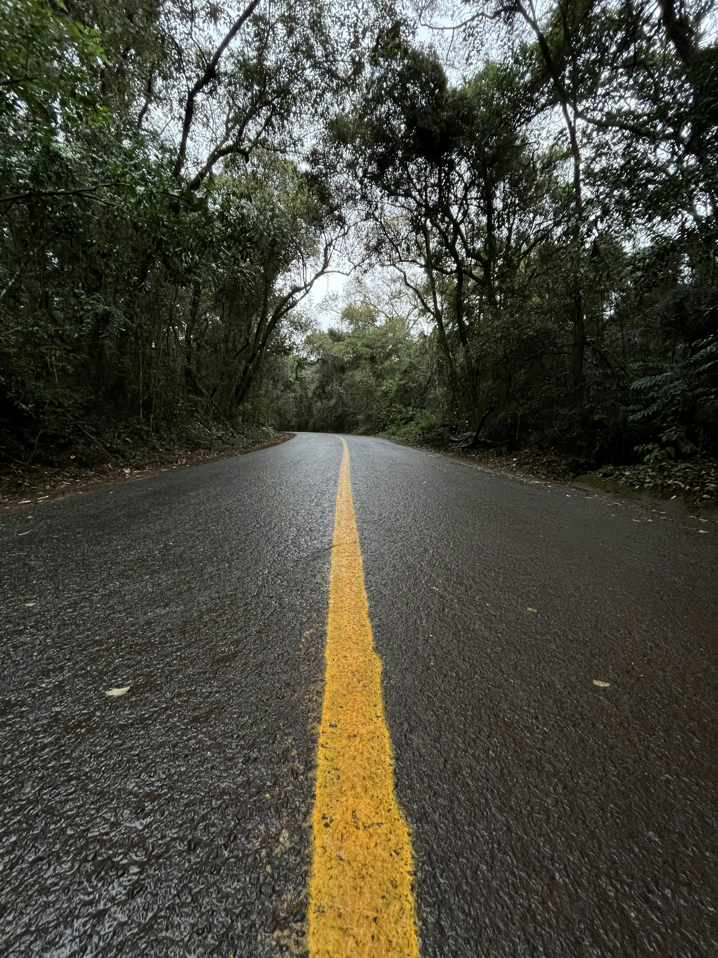 Photo by vitornicoletti