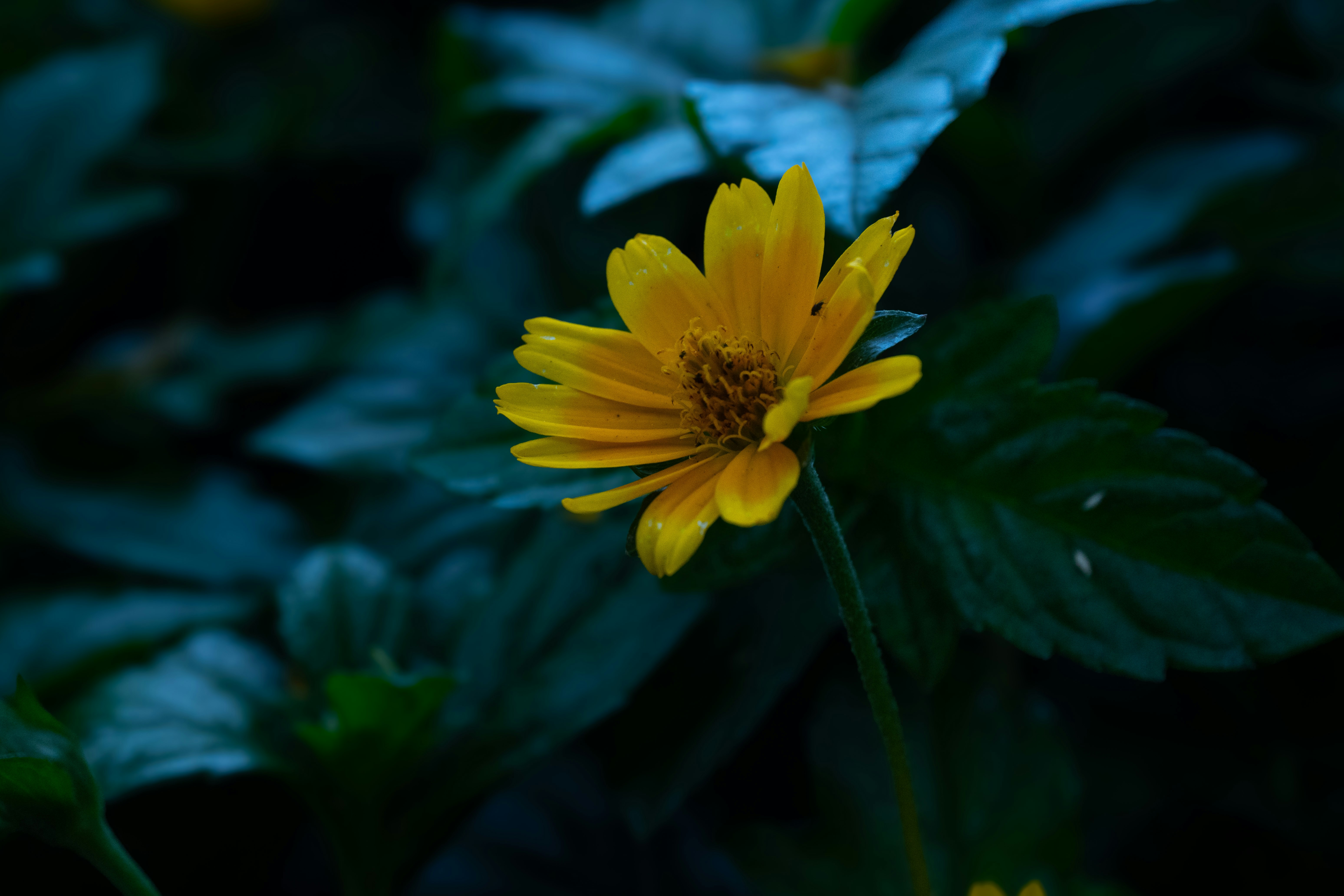 Photo by fernandabustamante