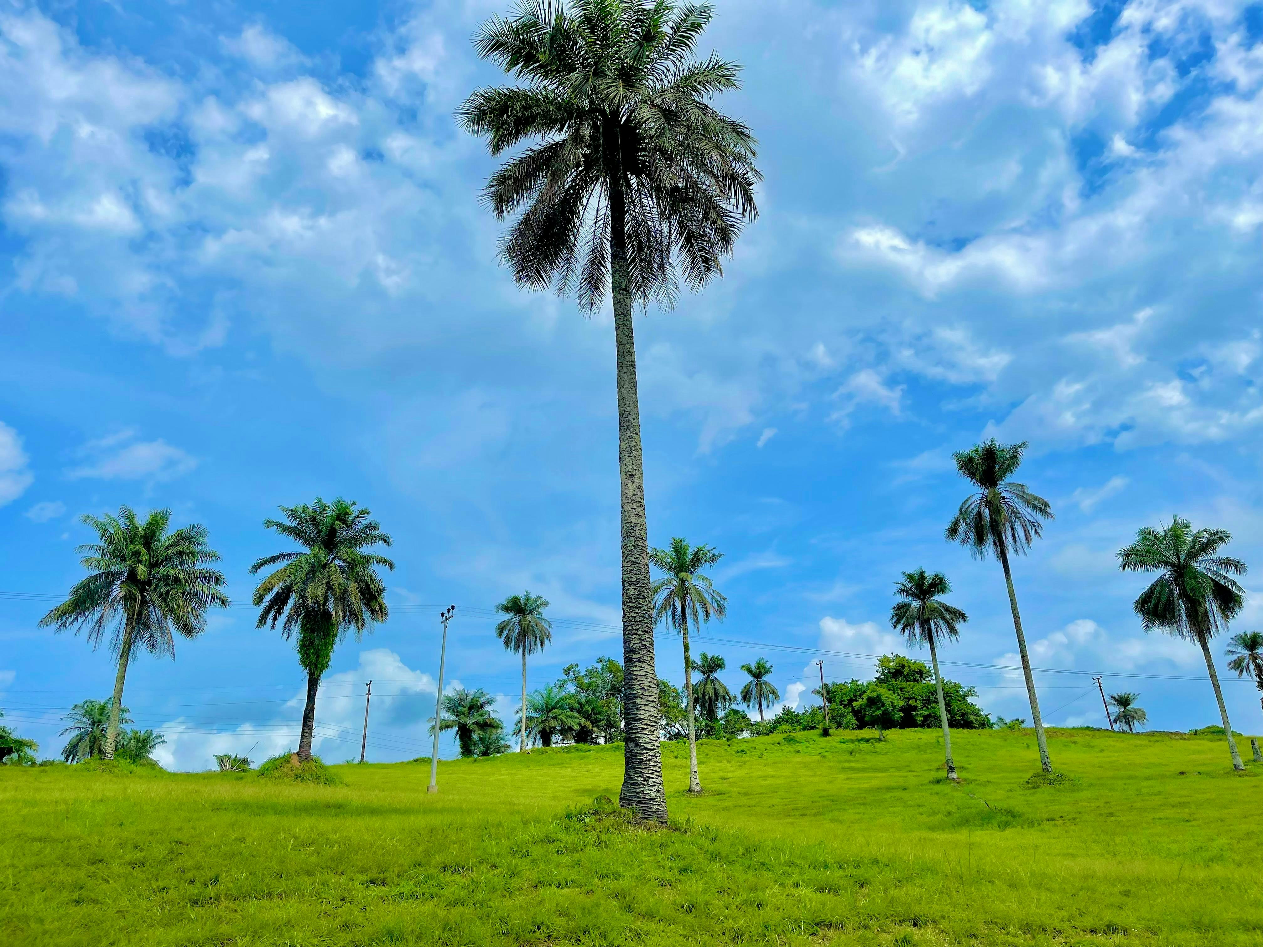 Stay online in the Liberia with a prepaid eSIM from eSIMlii. Instant activation, no roaming charges, and reliable coverage.