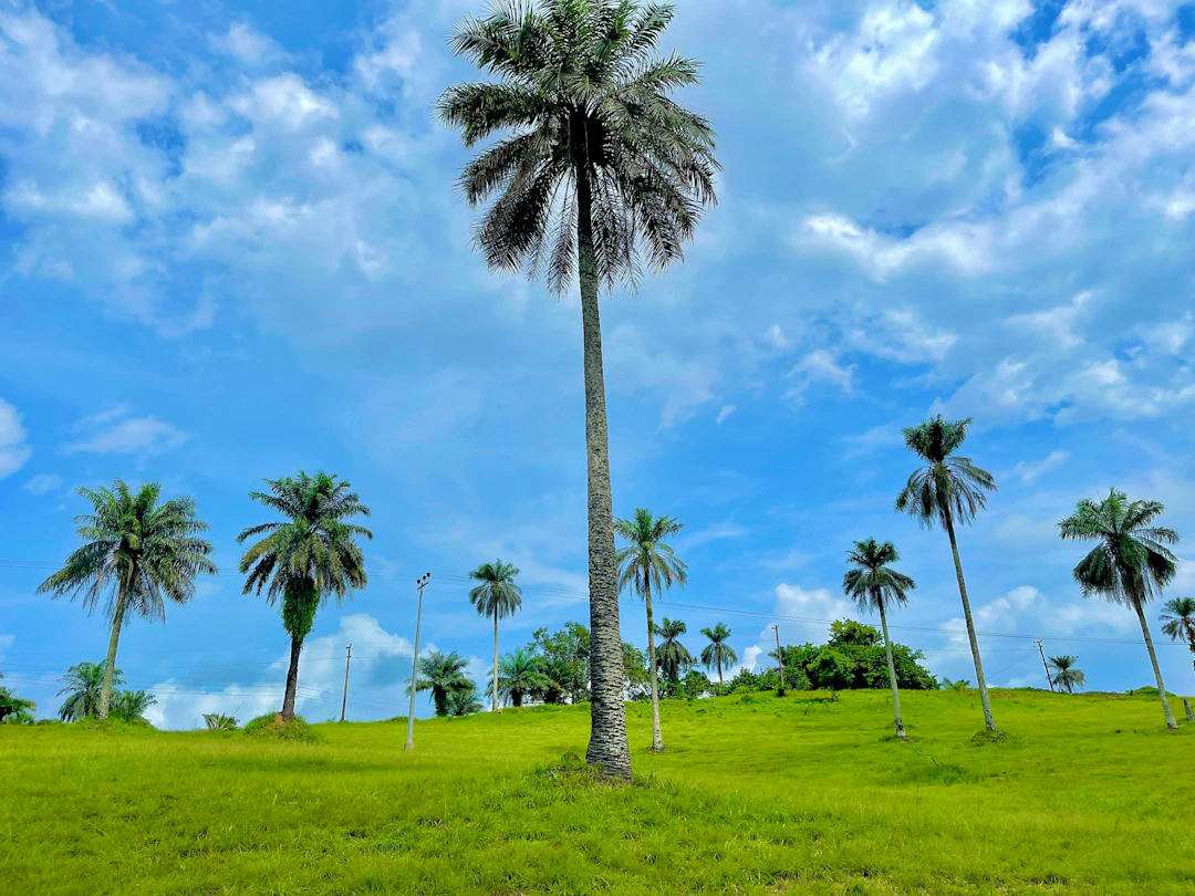 Liberia