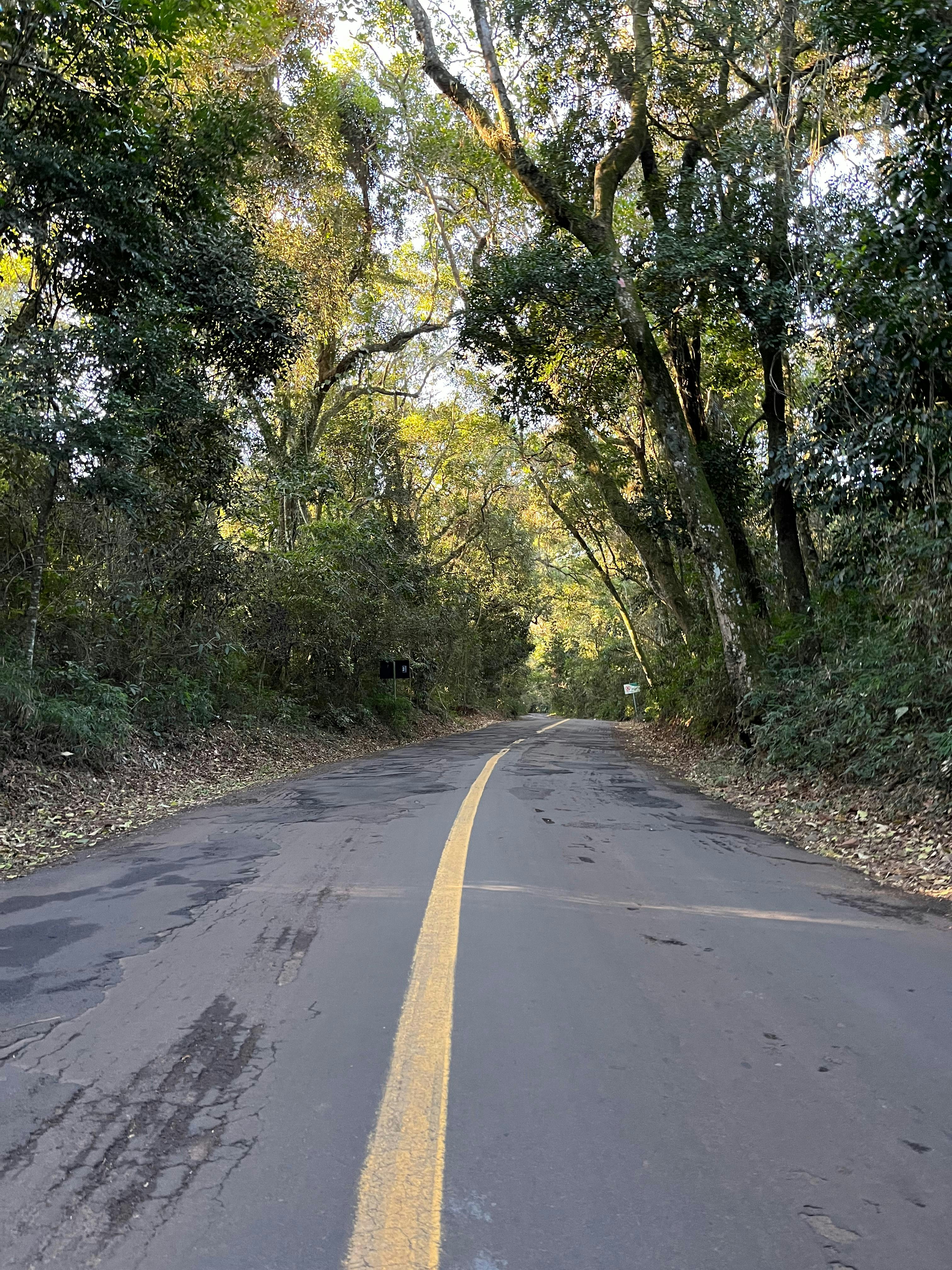 Photo by vitornicoletti