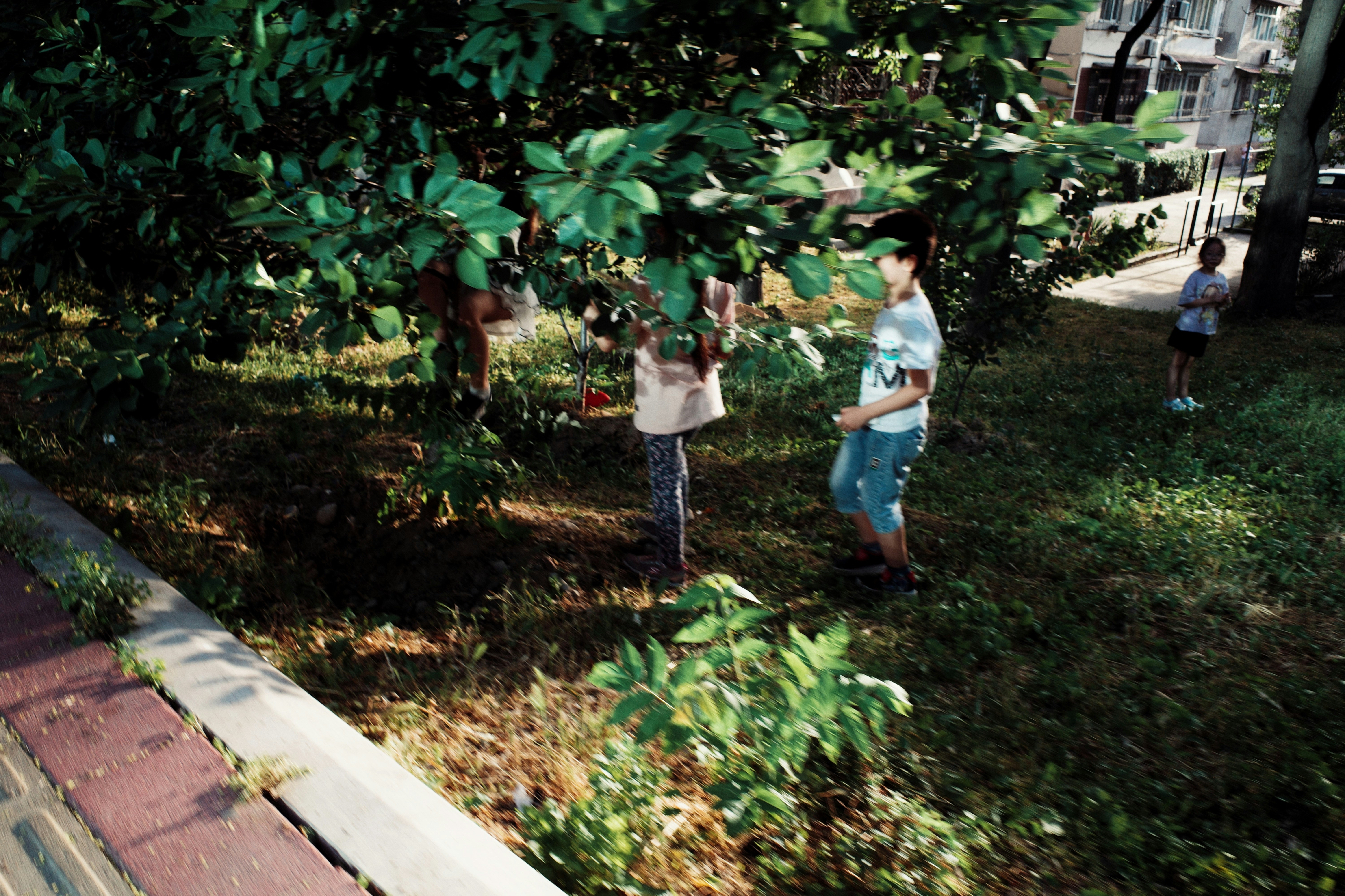 A group of people standing around a tree