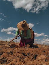 A woman is digging in the dirt with a shovel