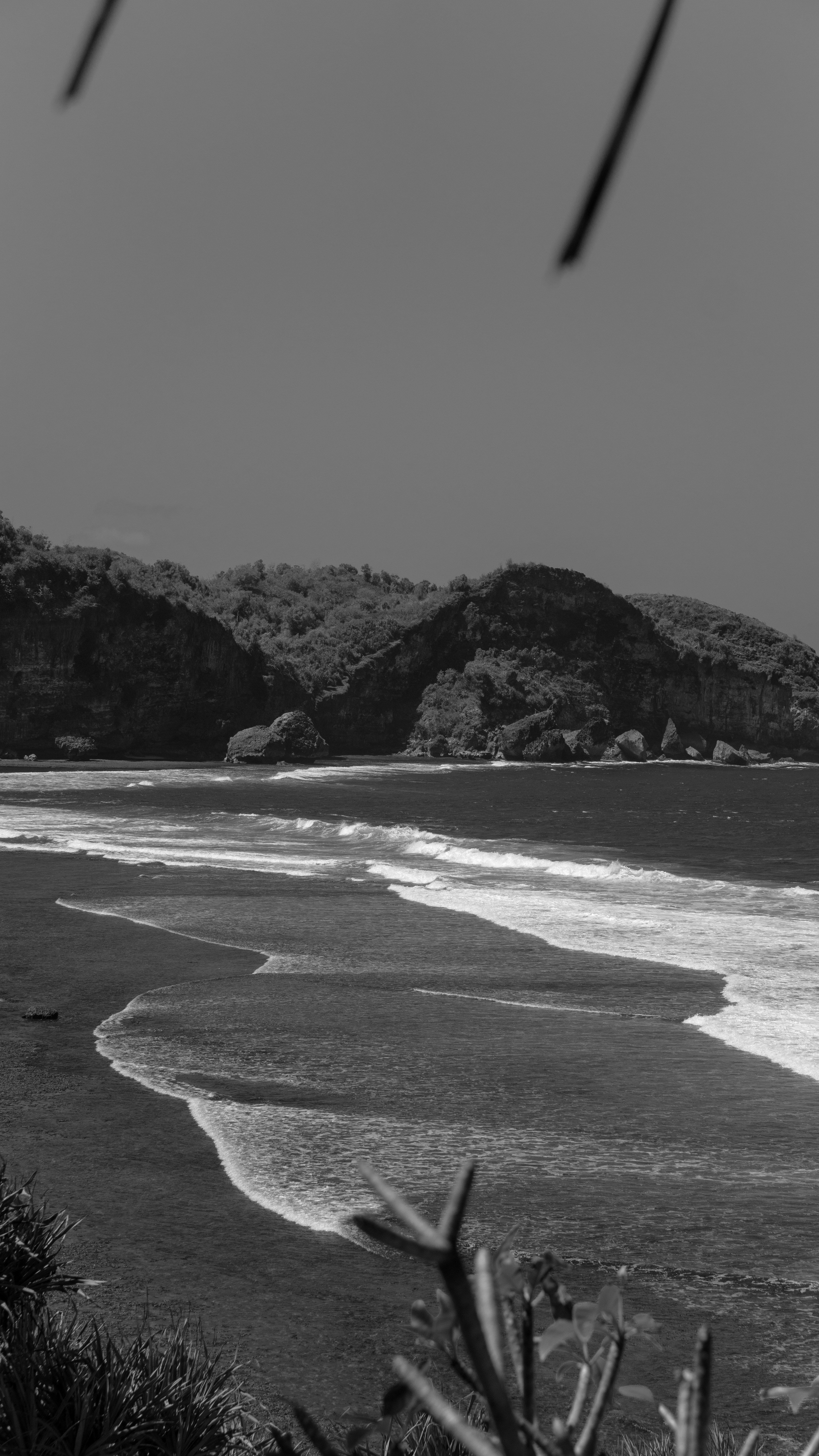 Photo by dzguevara