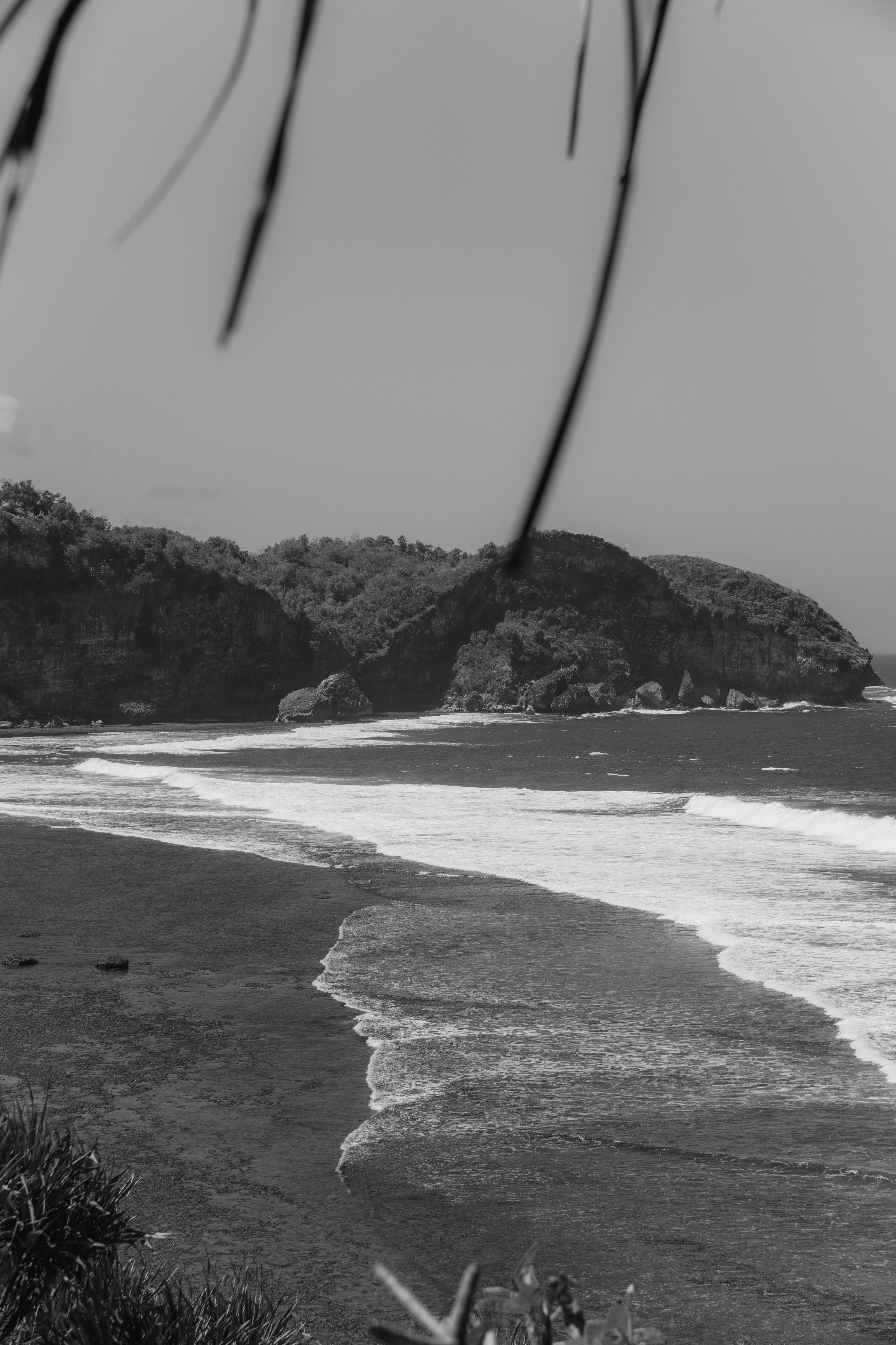 Photo by dzguevara