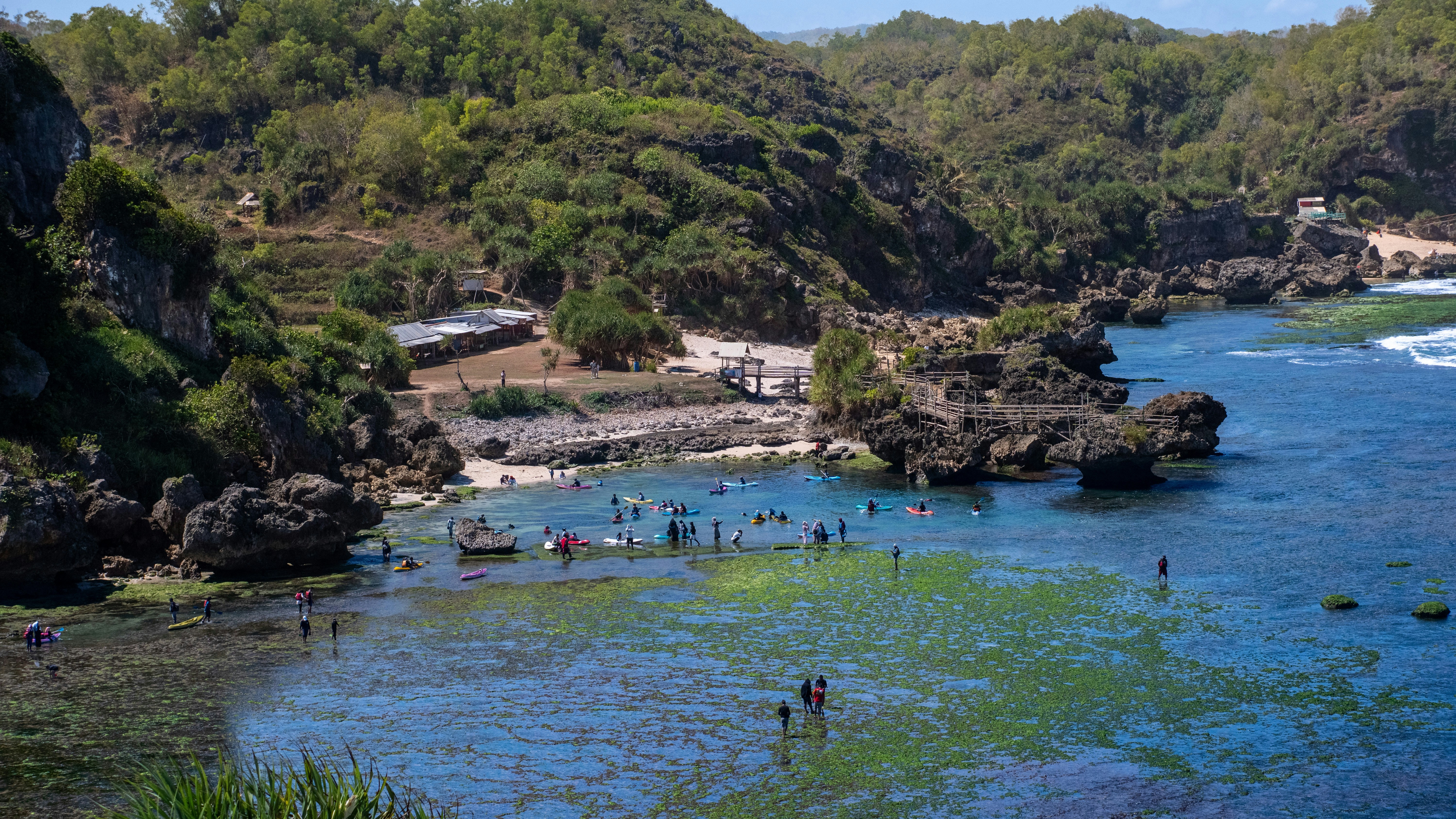 A group of people swimming in a body of water