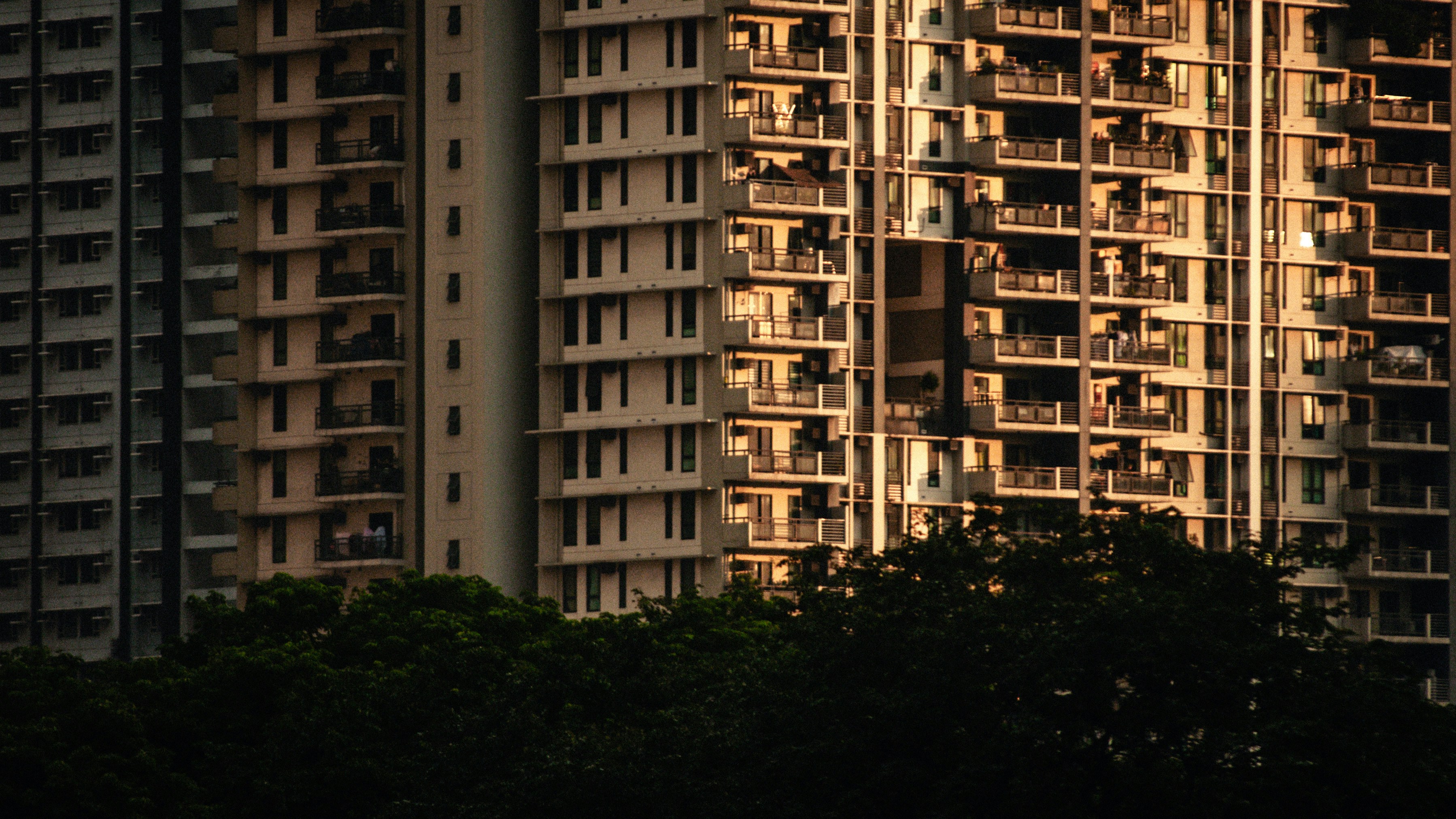 Photo by nilepereiraa