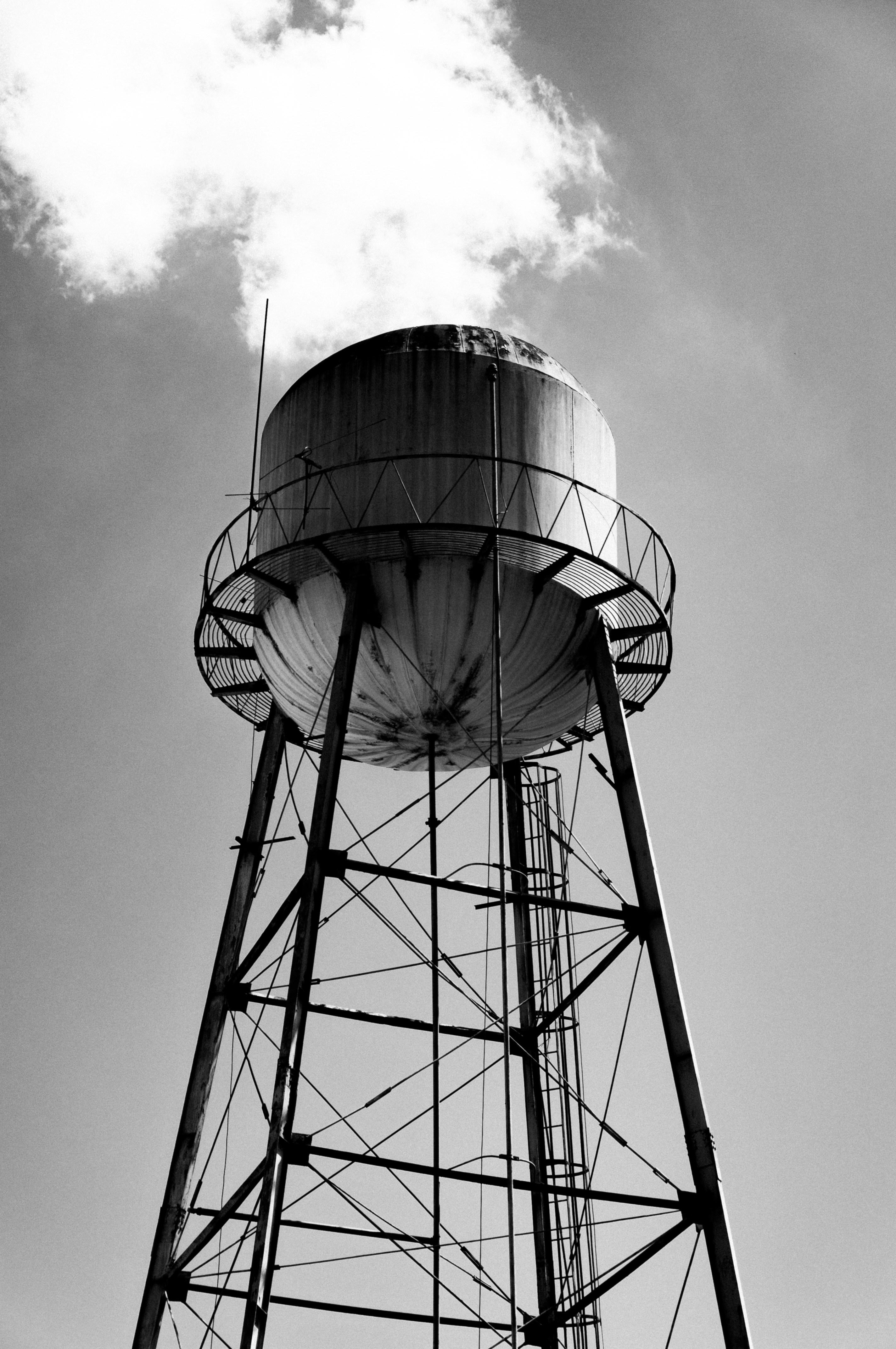 Photo by nilepereiraa