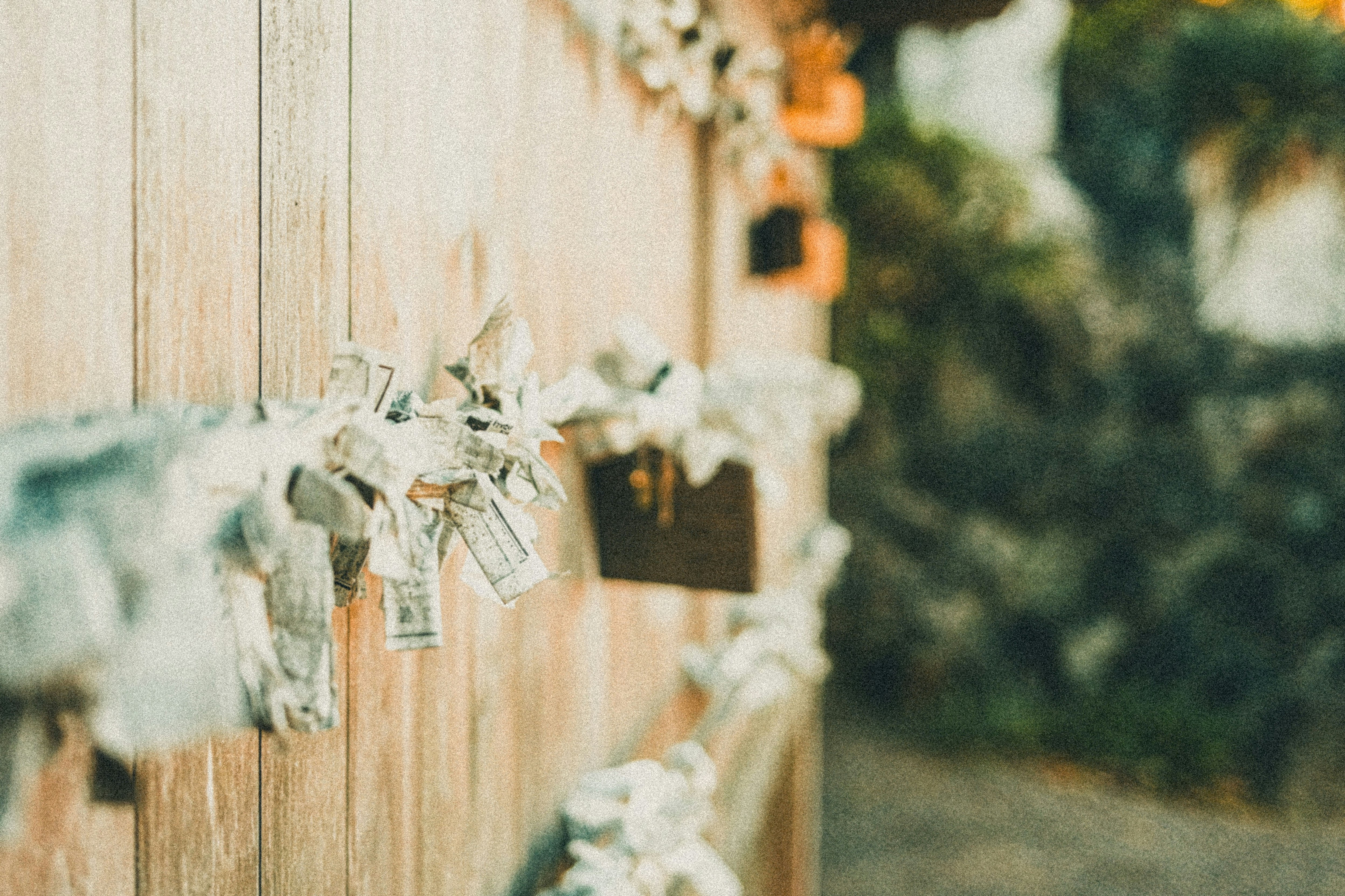 Photo by zhouyudesign