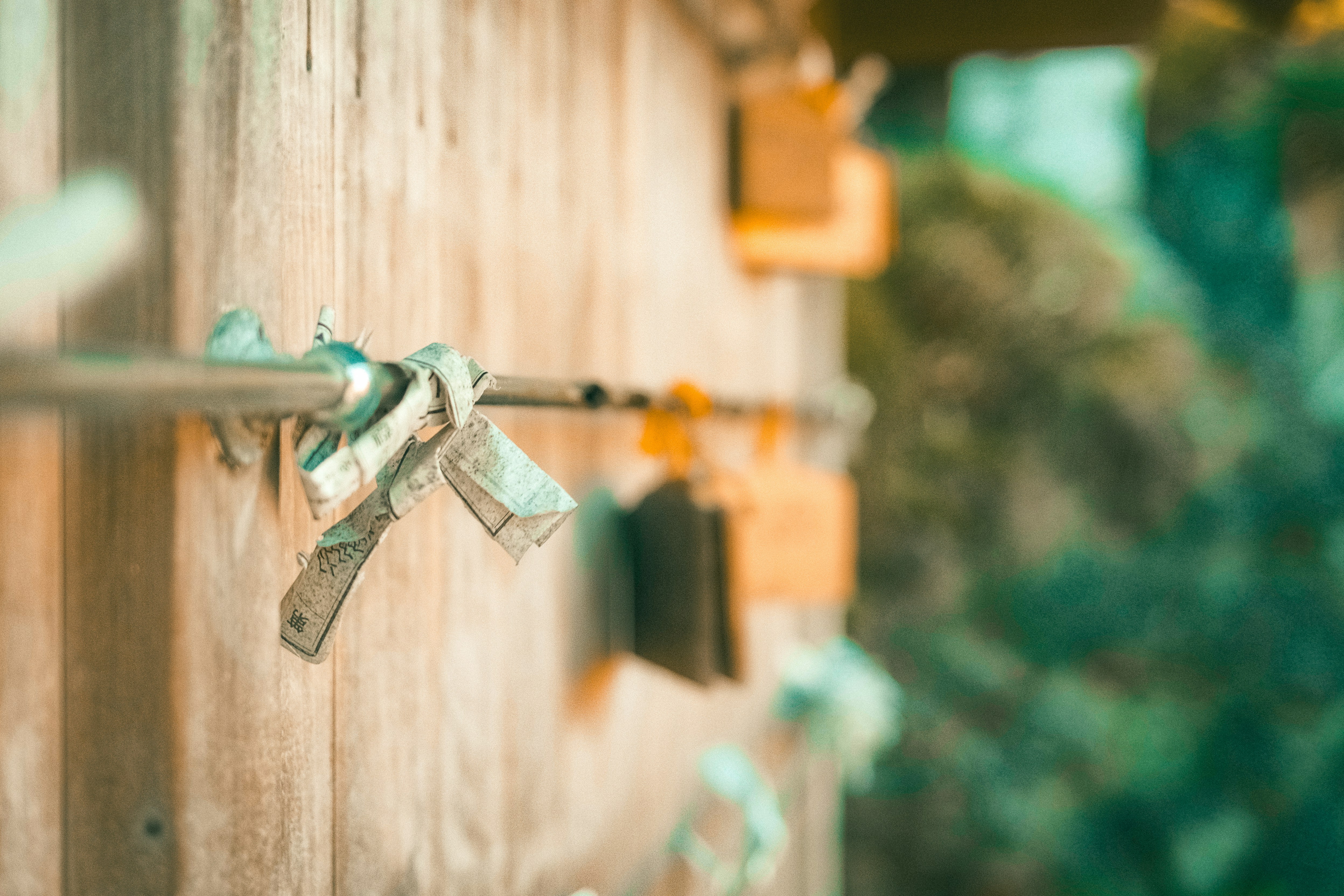 Photo by zhouyudesign