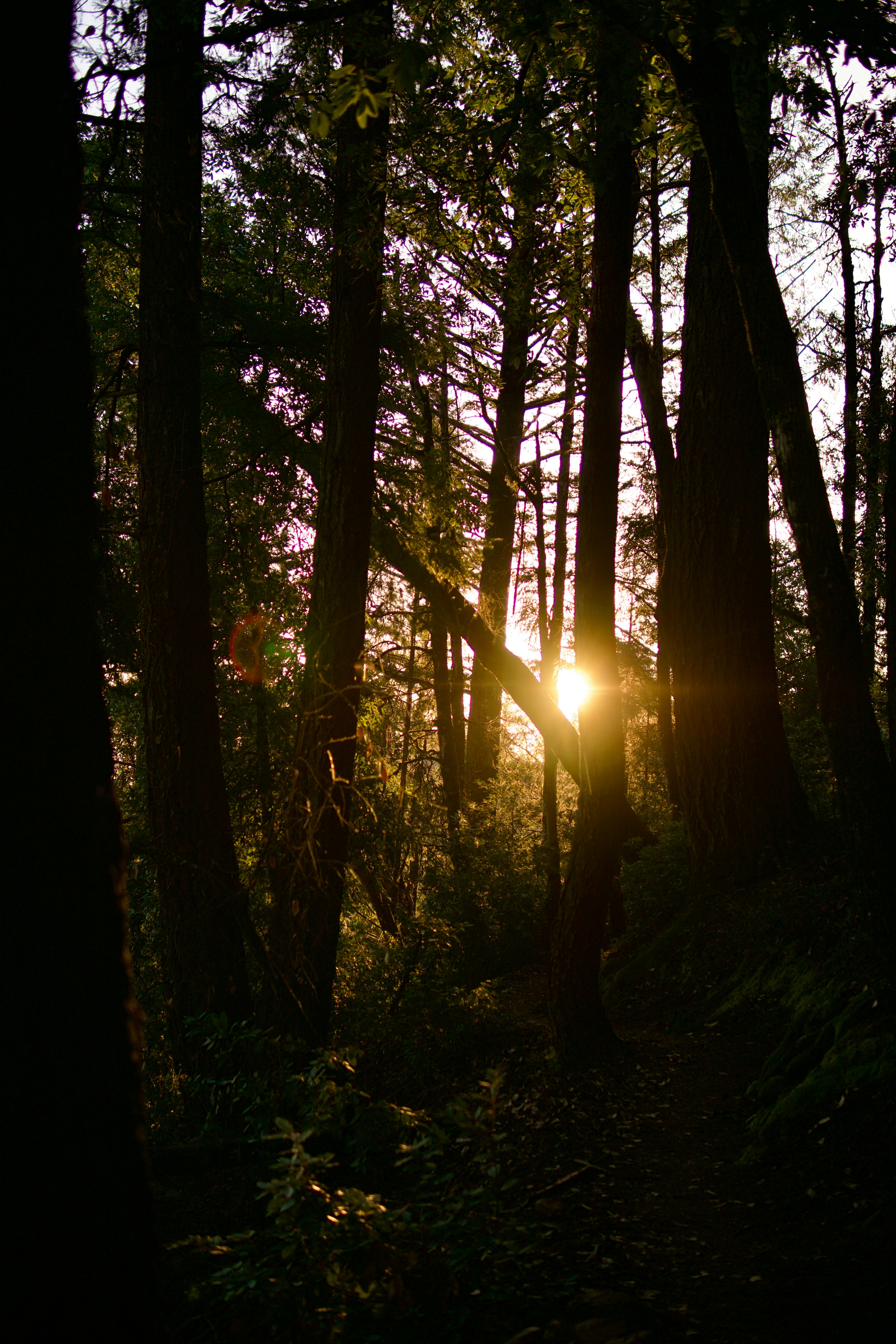 Photo by daniel_akserlod