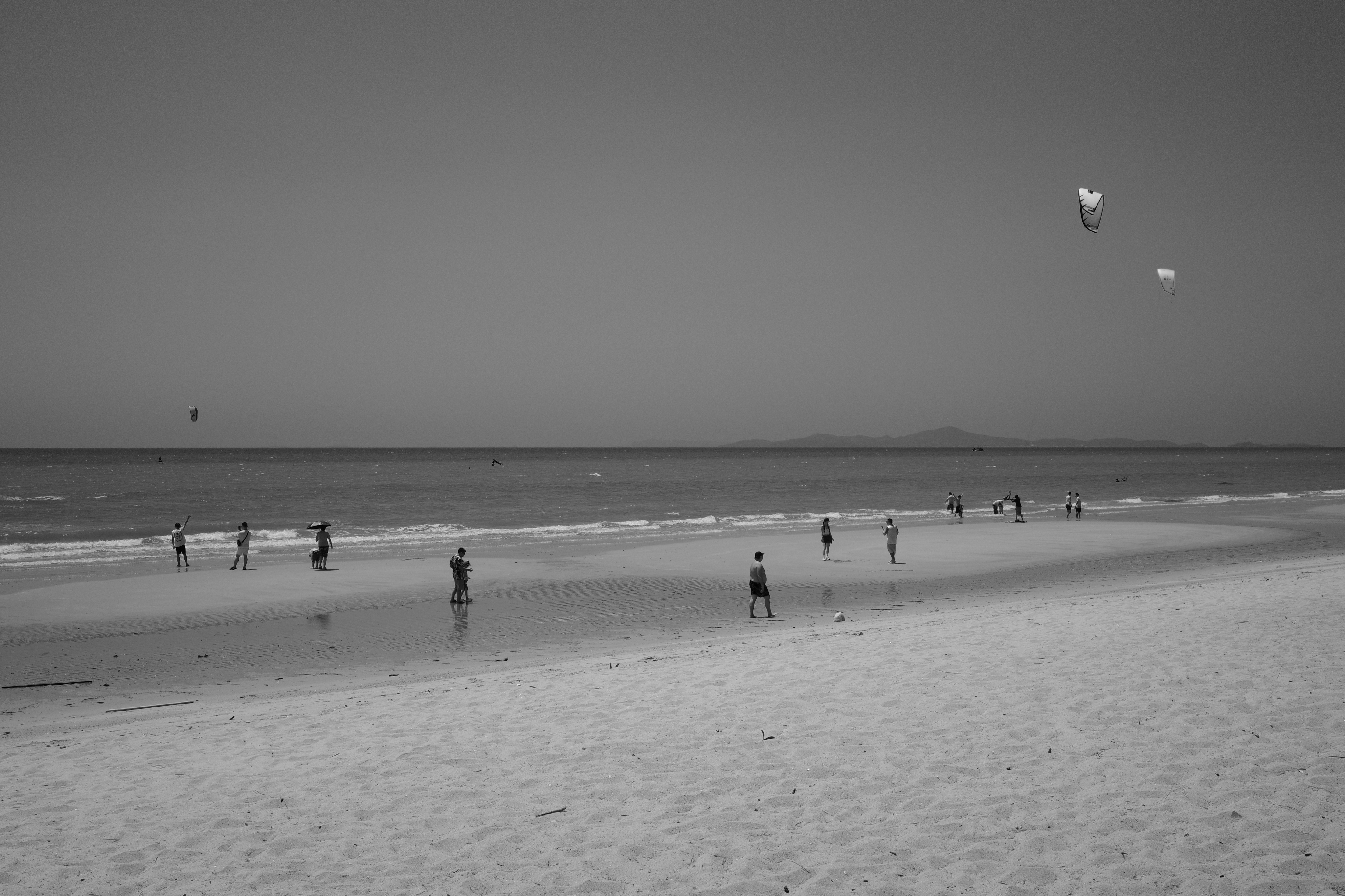 Photo by koalanewbie