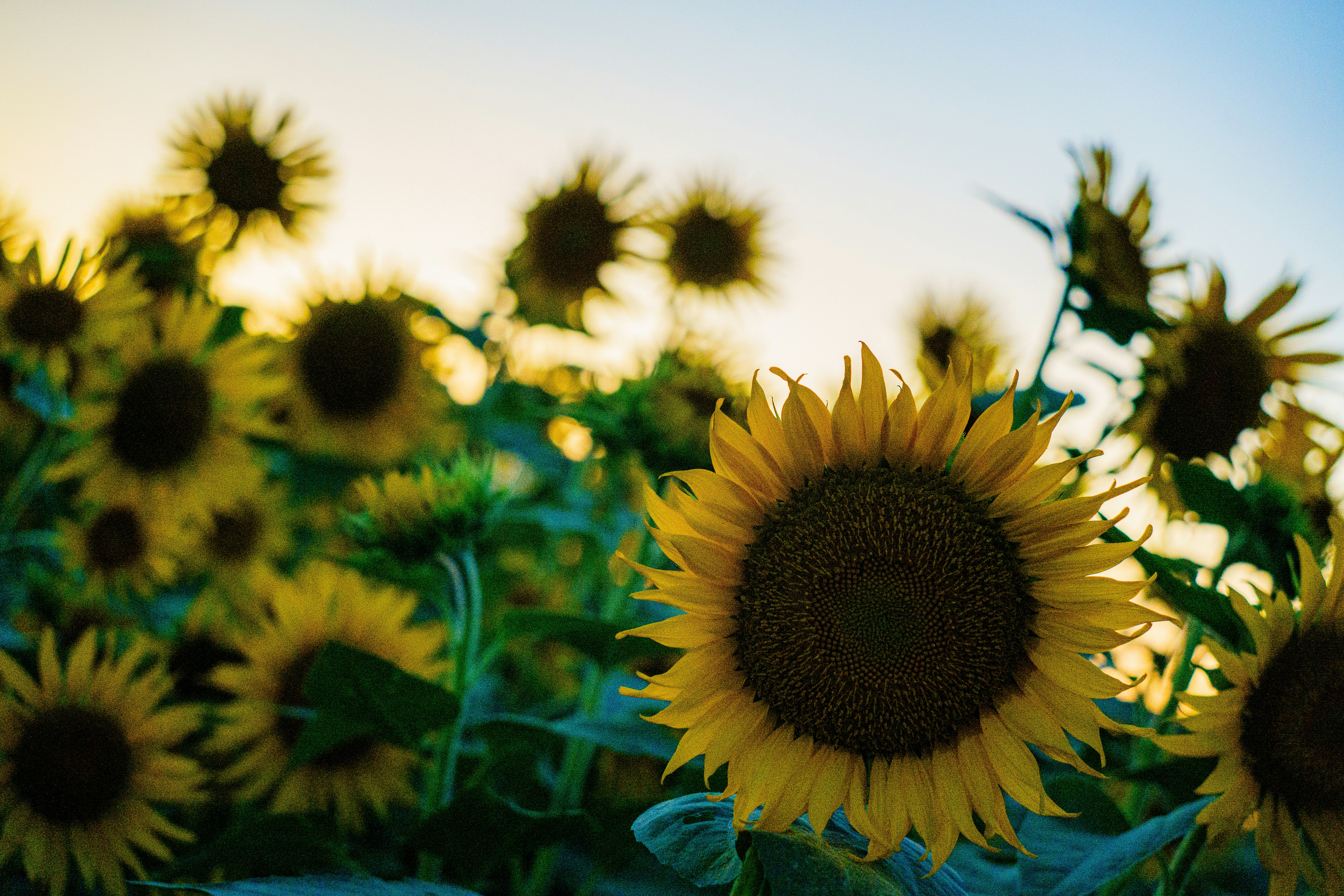 Photo by kent_shimazaki