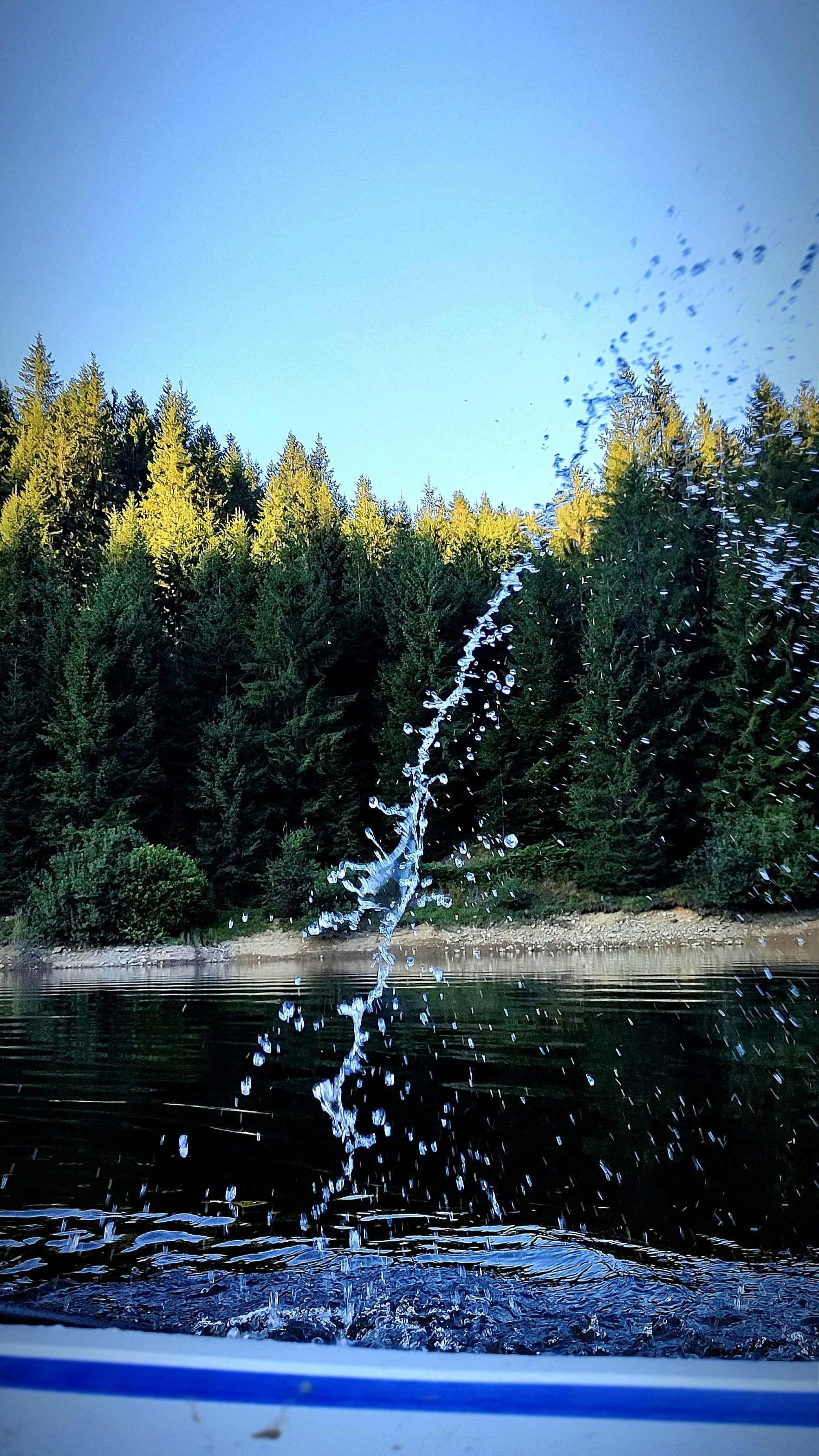Ein Gewässer mit Bäumen im Hintergrund