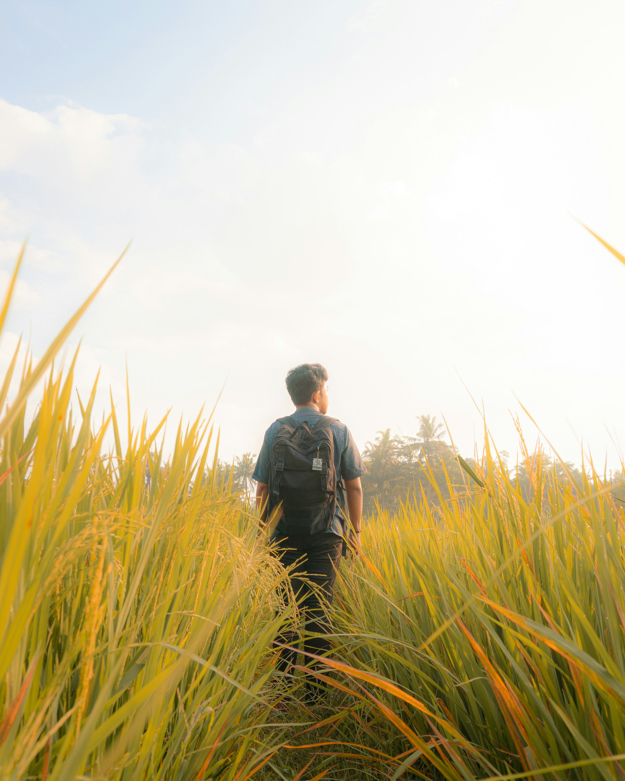 A man standing in a field of tall grass