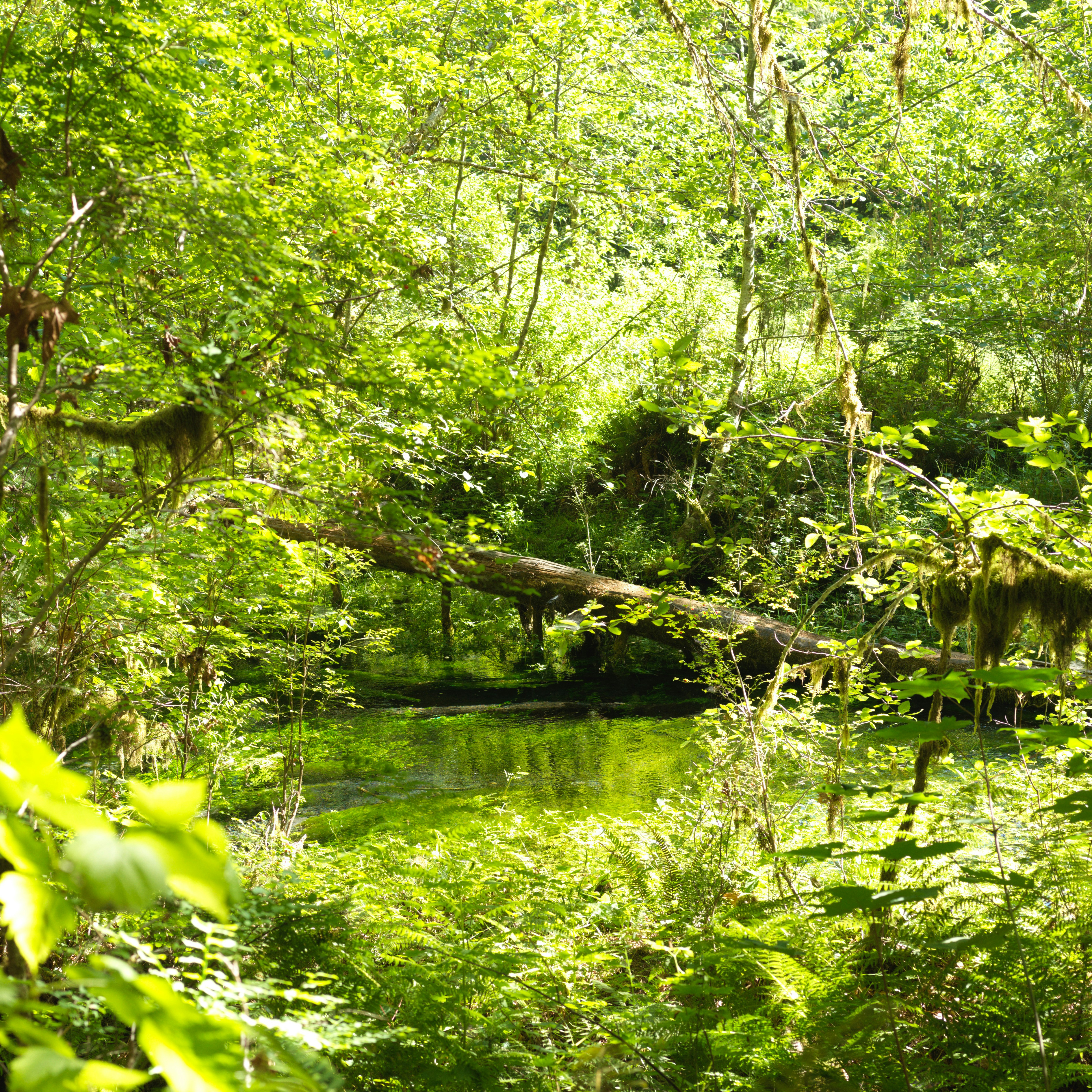 Photo by rayzhang369