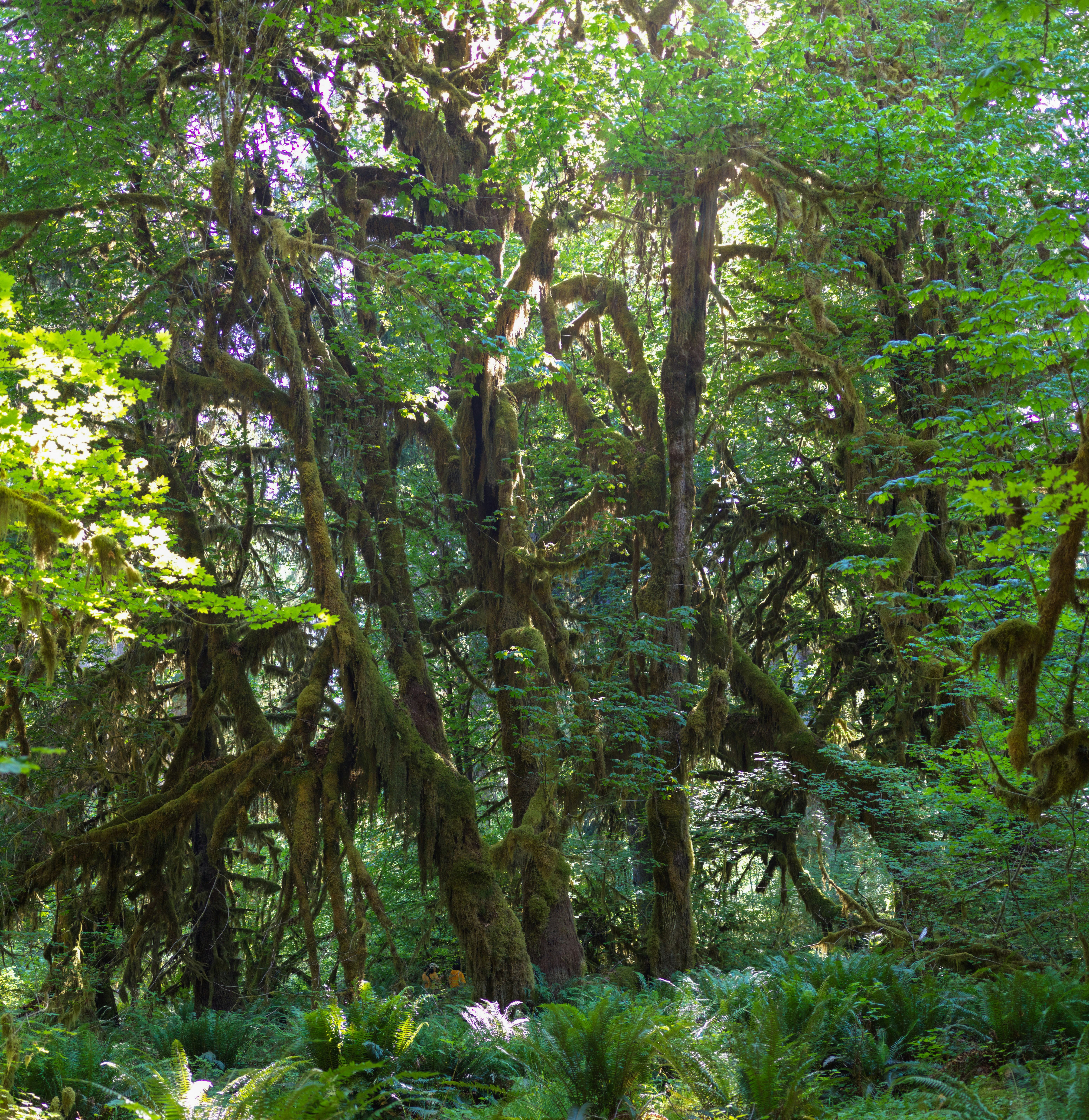 Photo by rayzhang369