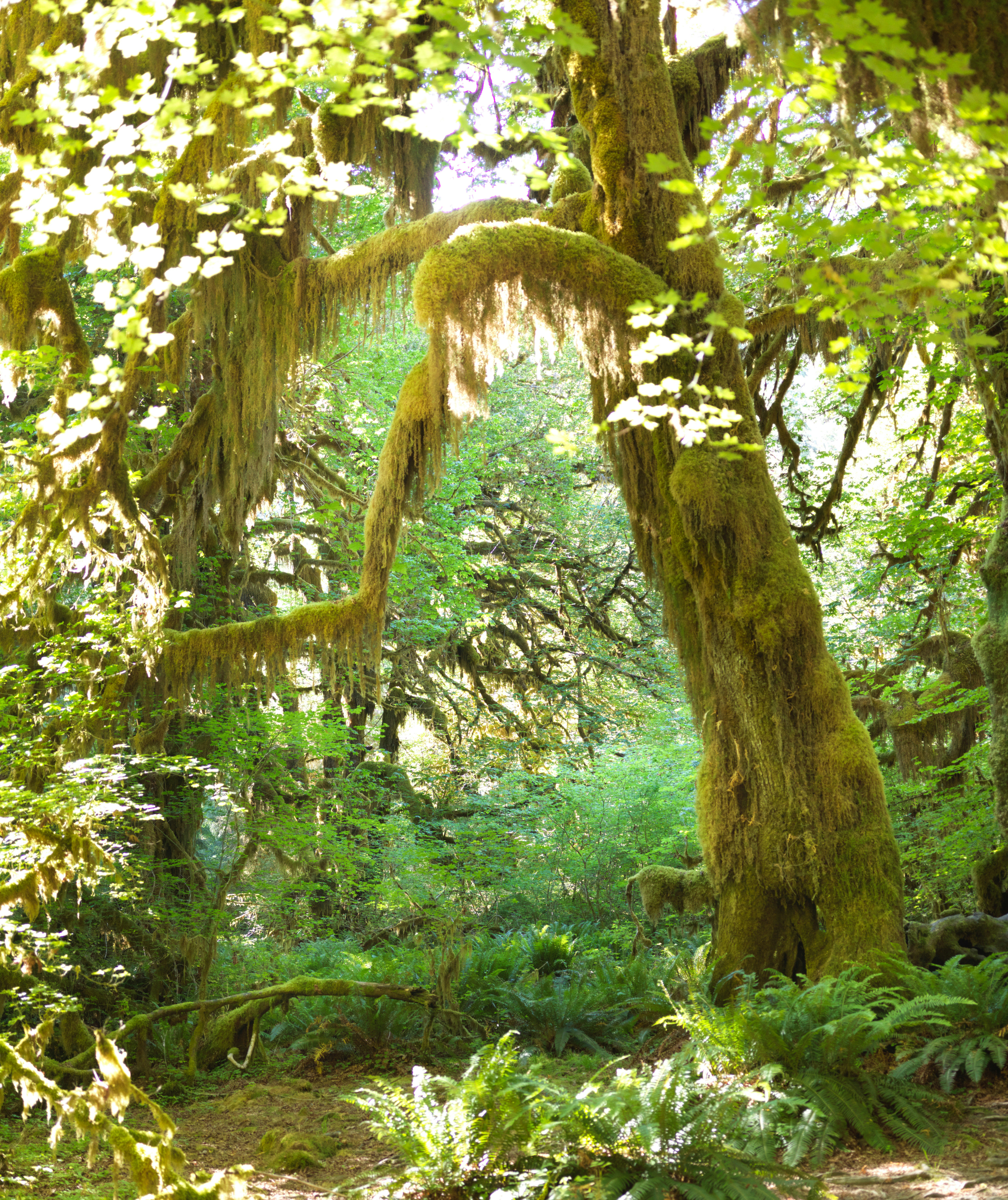 Photo by rayzhang369