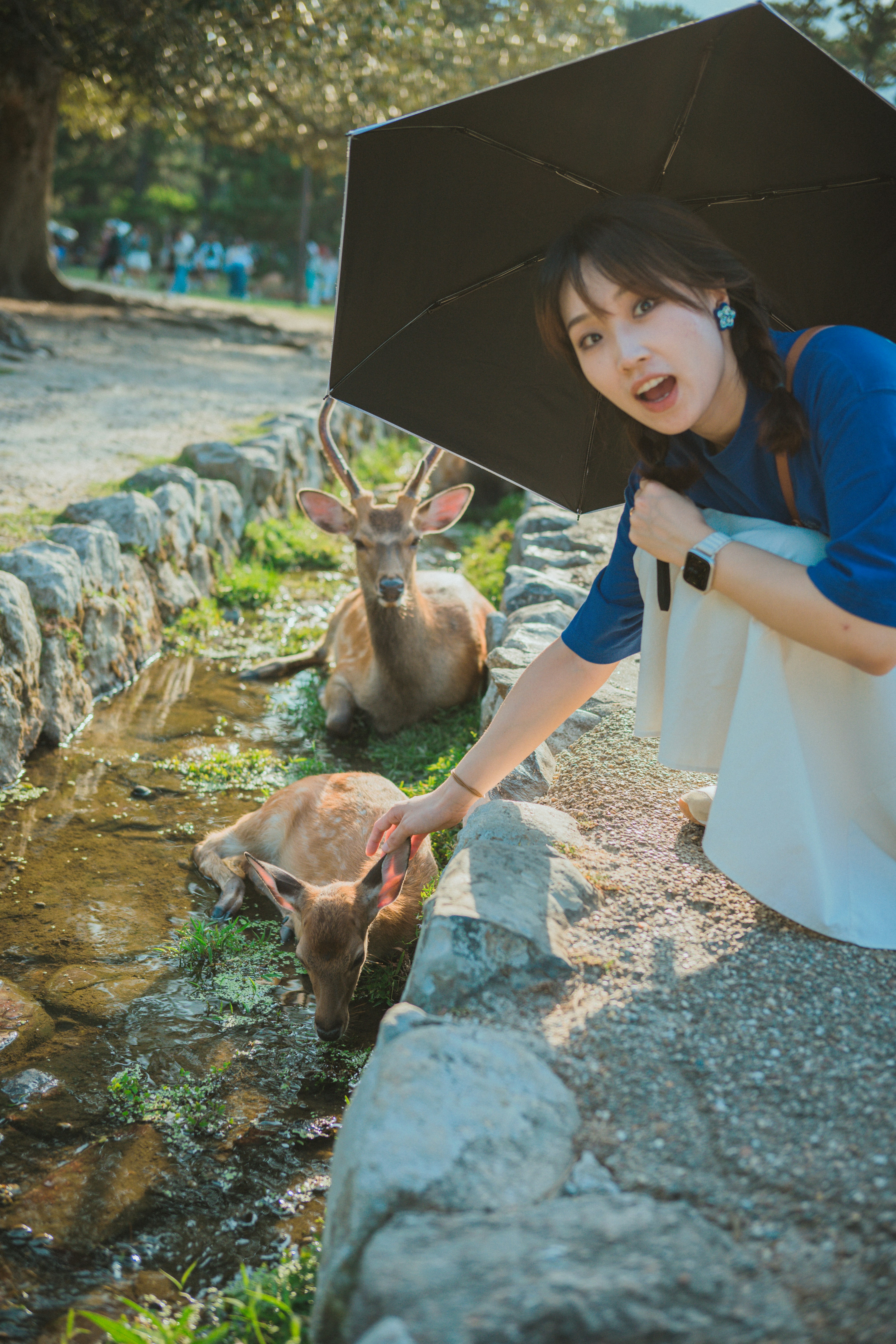 Why Nara's Sacred Landscape Runs Far Deeper Than One Giant Buddha