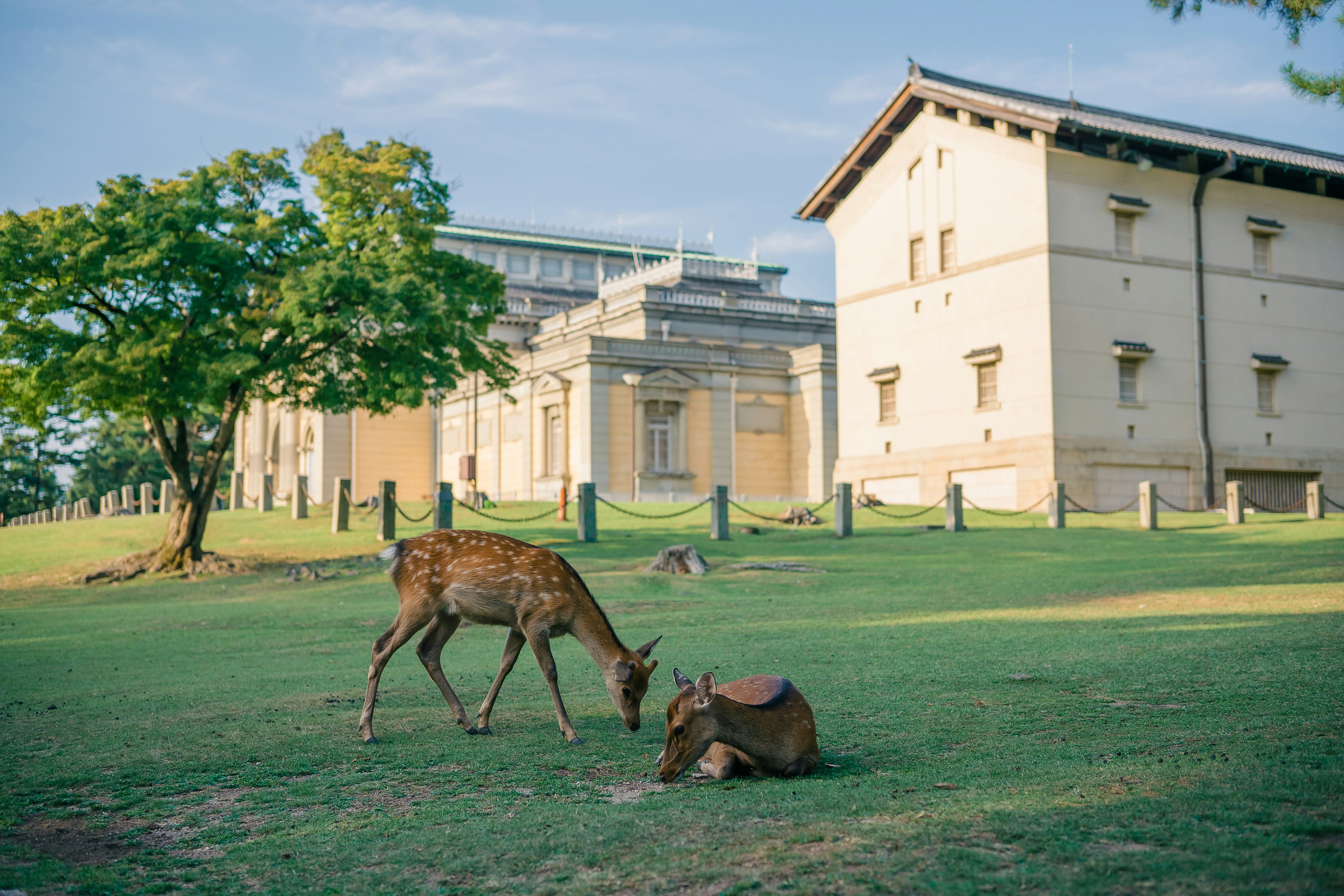 Nara National Museum