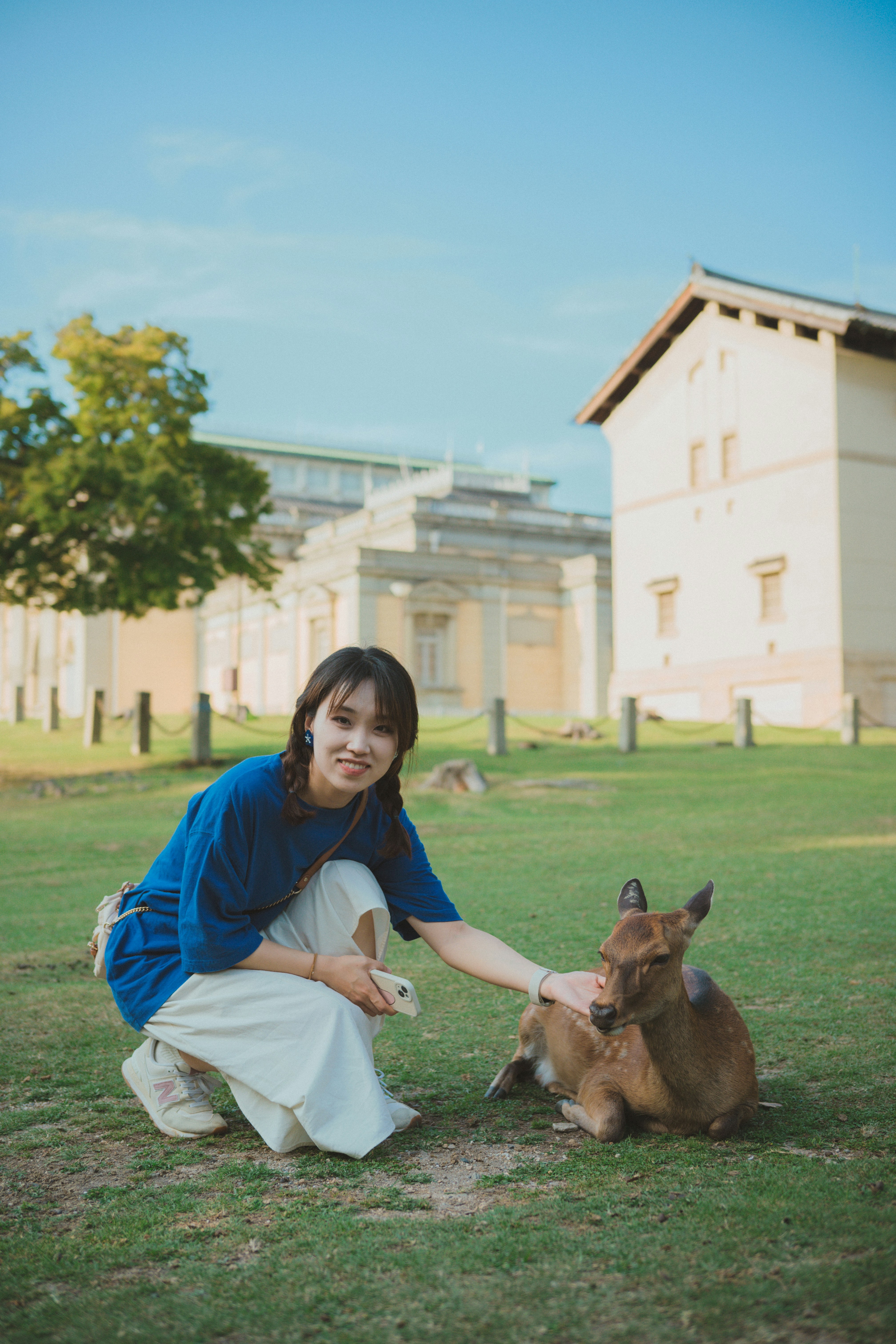 The Origins of Nara's Sacred Deer