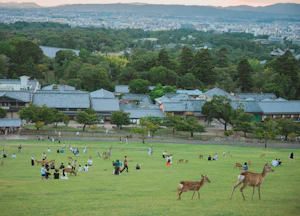 Nara