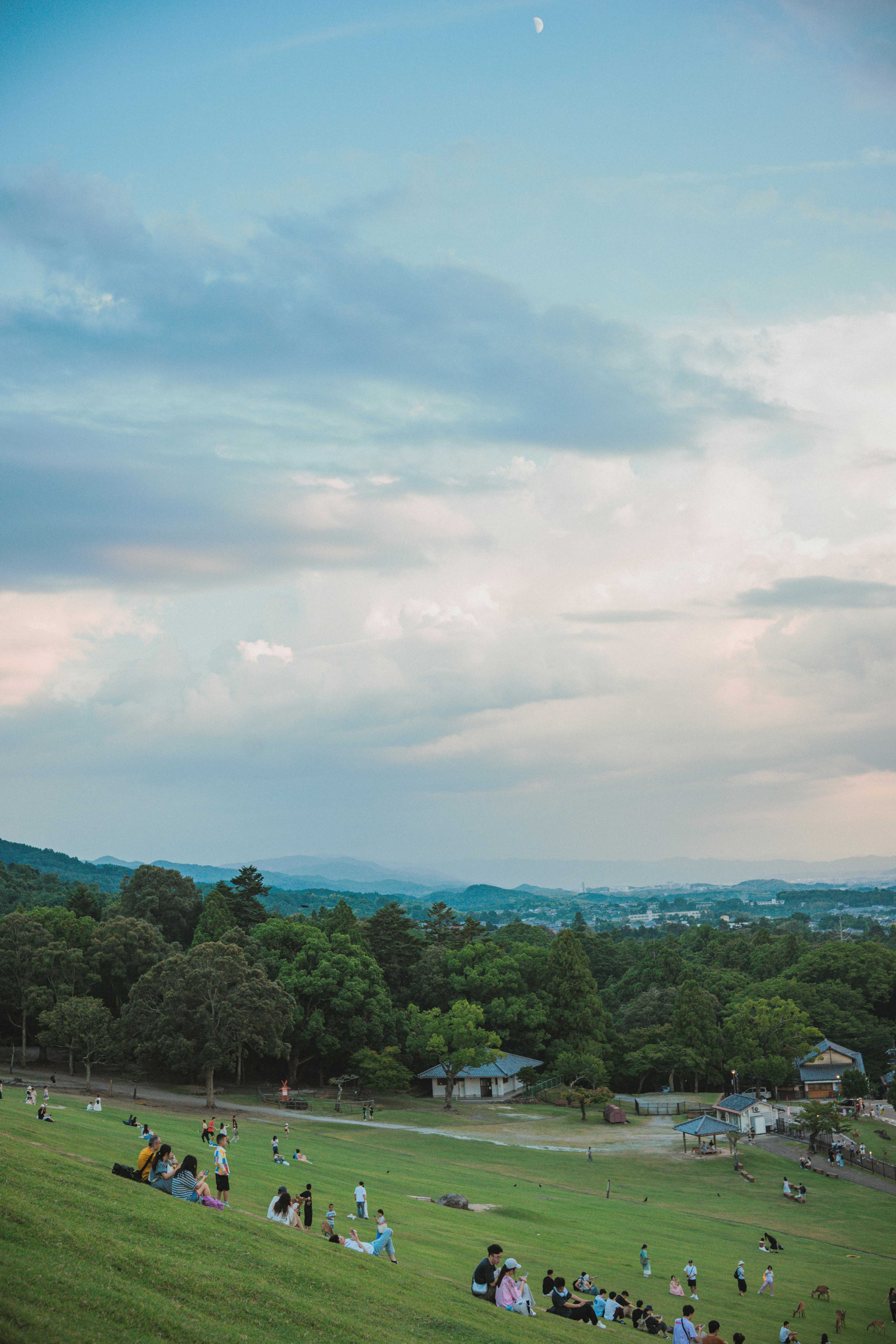 Practical Tips for Visiting Nara