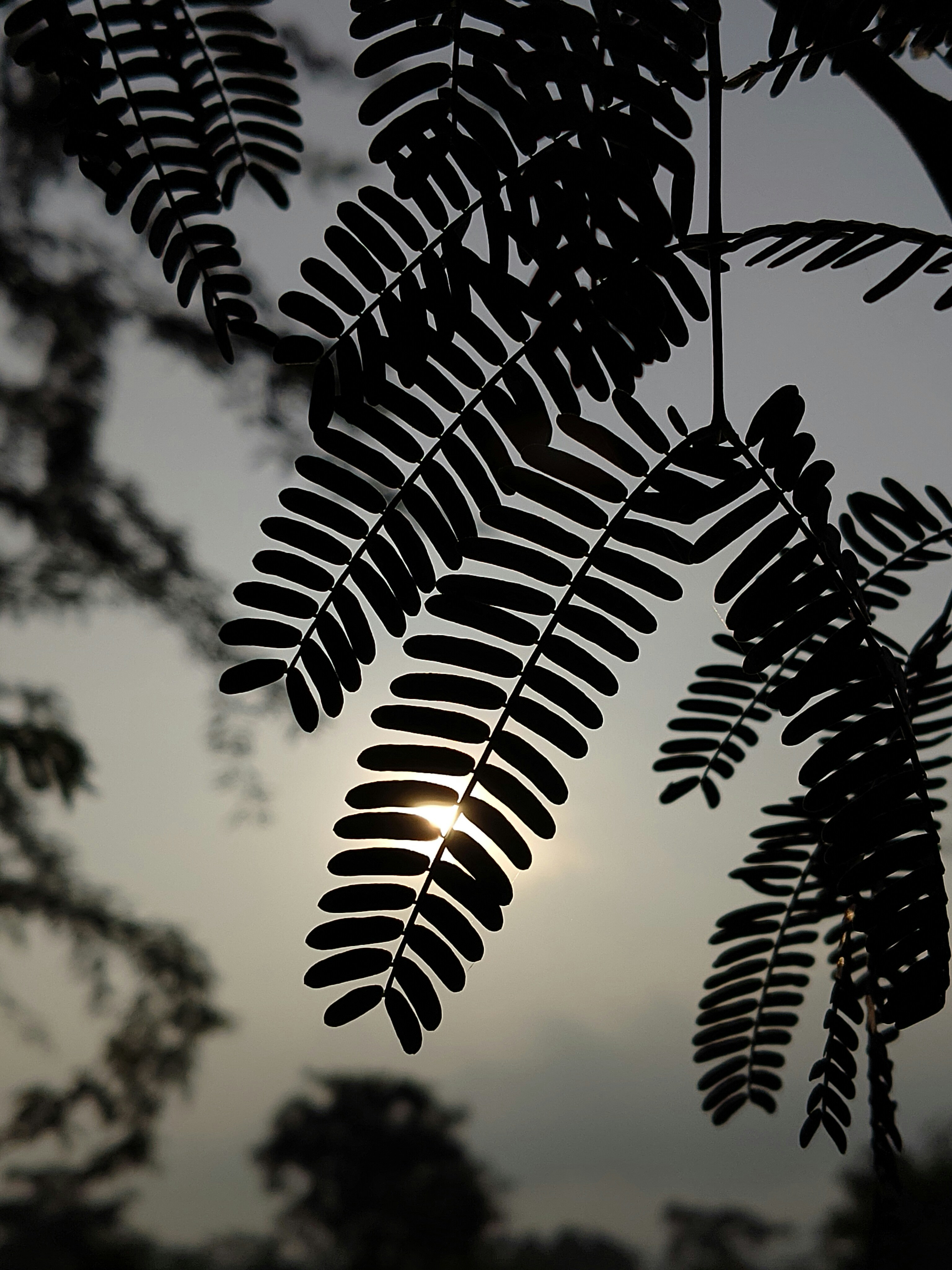 Photo by karthikkv