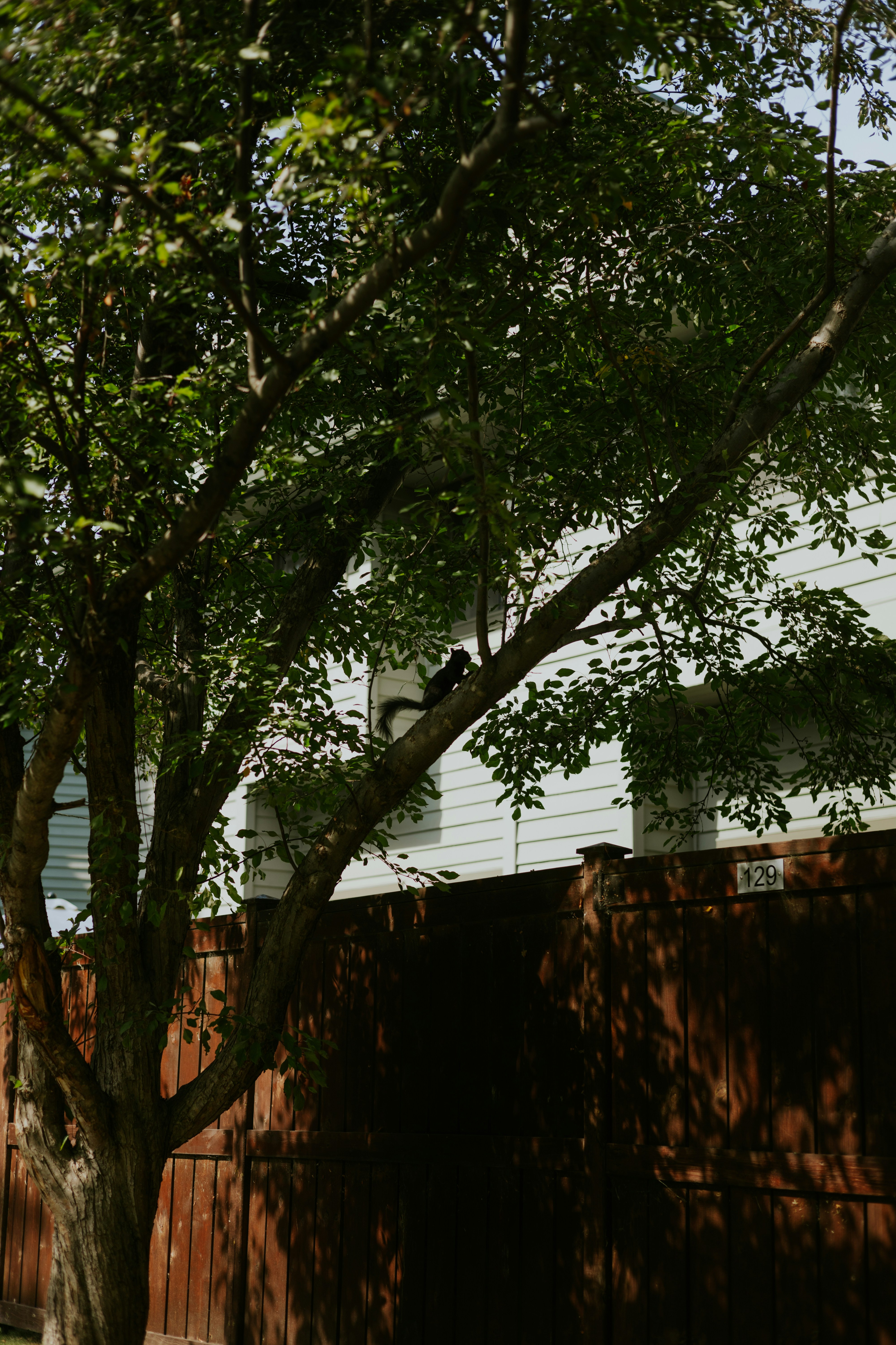 Photo by harrydhindsa