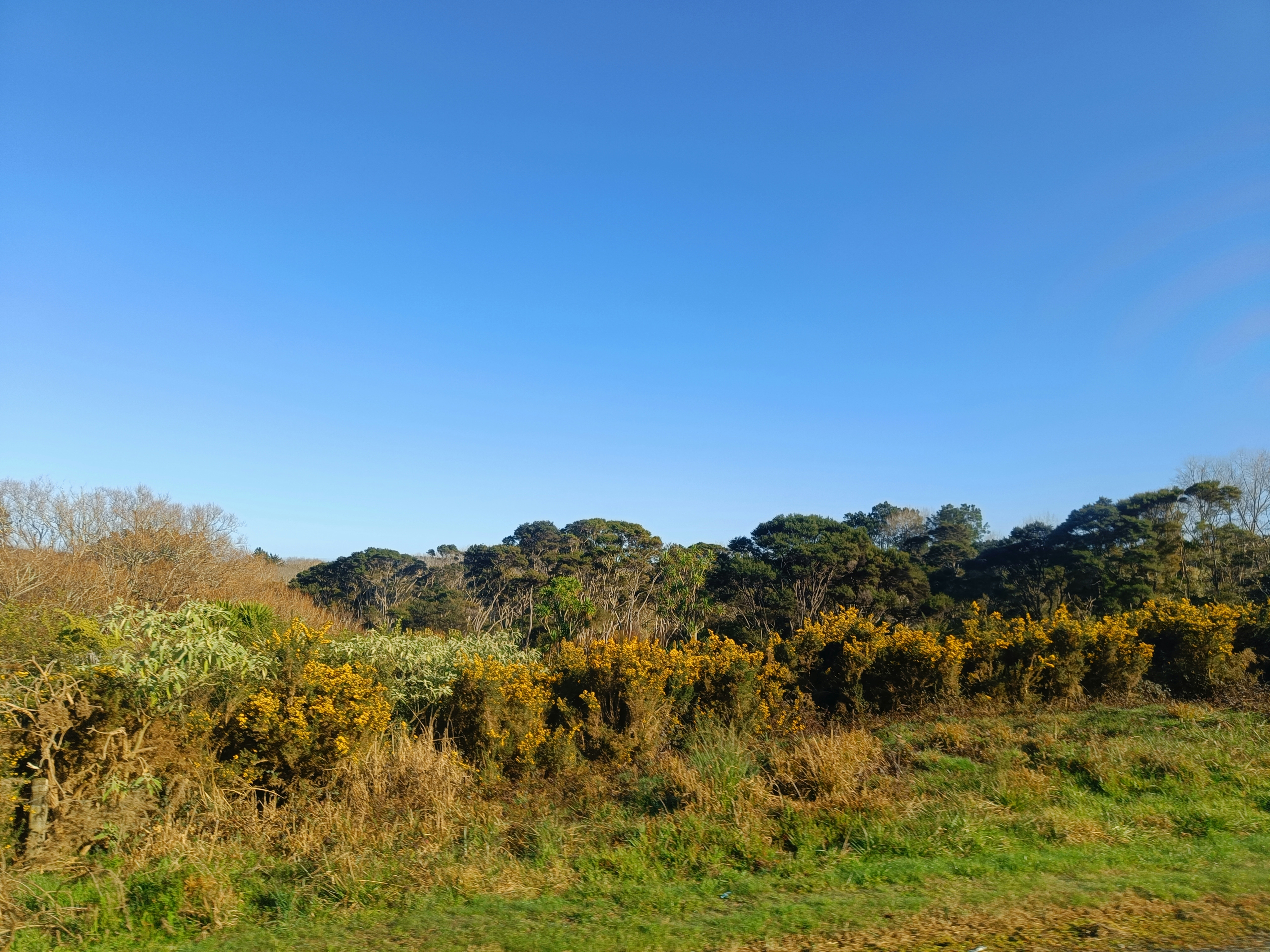 Photo by vamseedharg