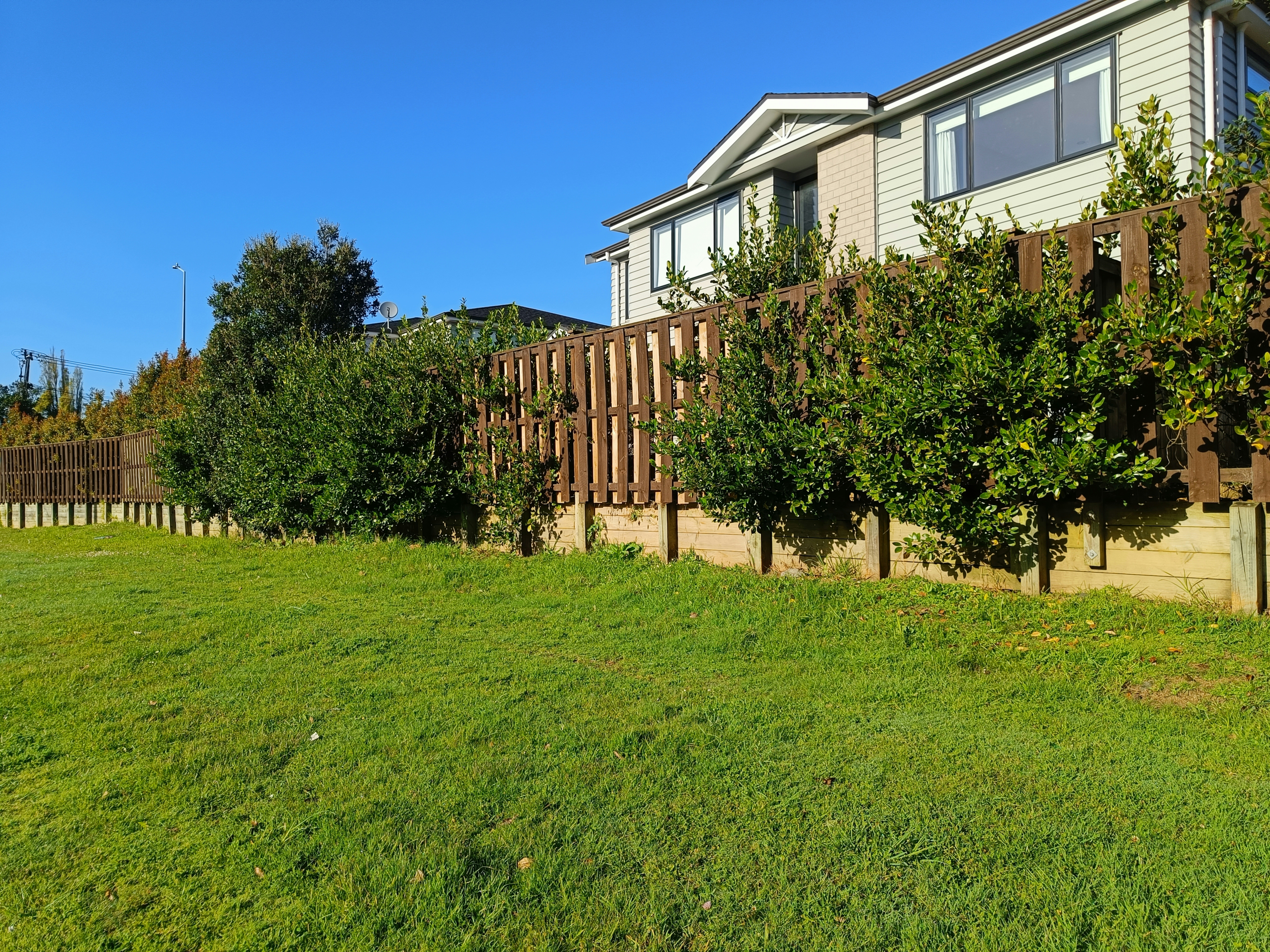 Photo by vamseedharg