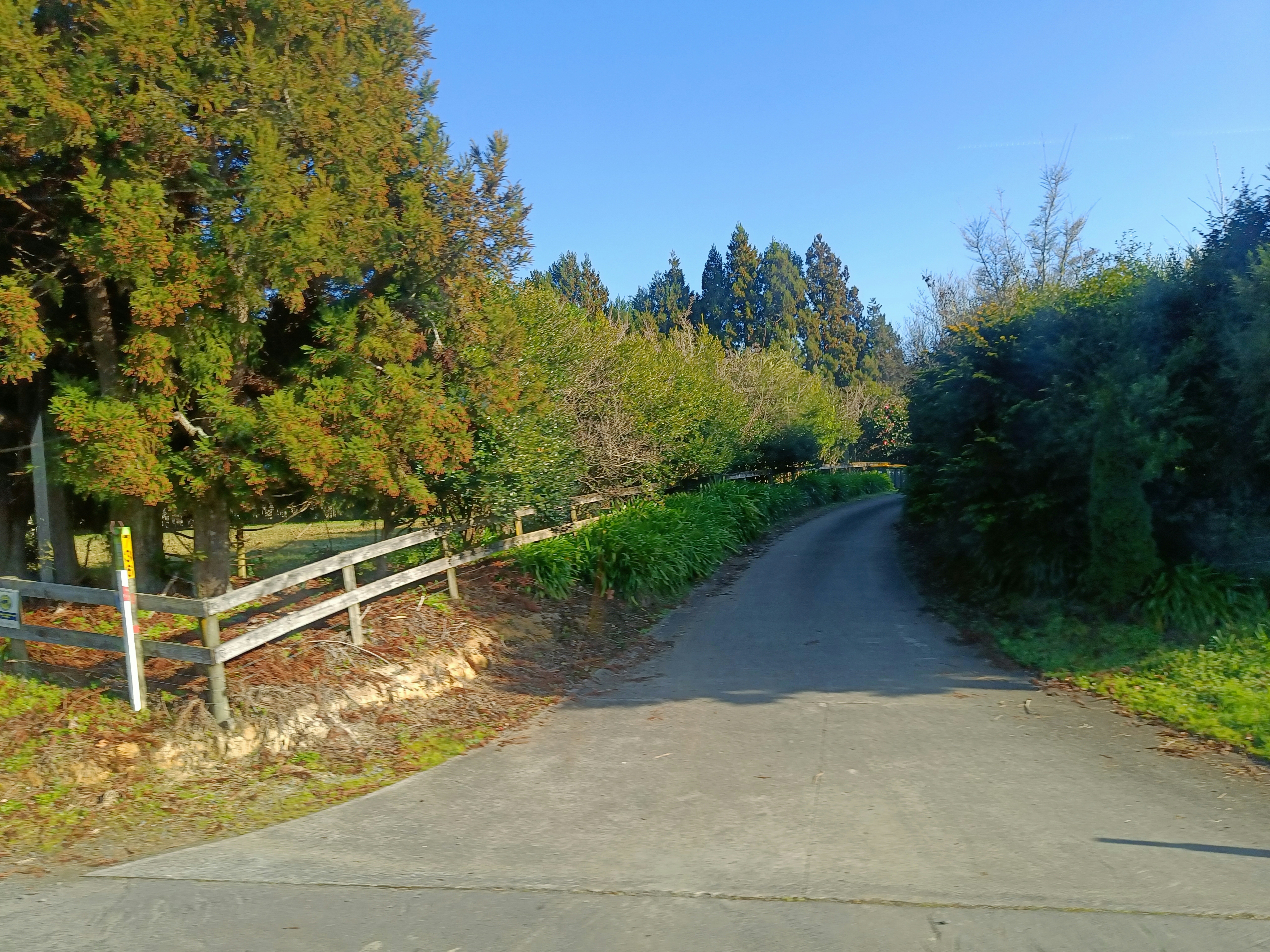 Photo by vamseedharg