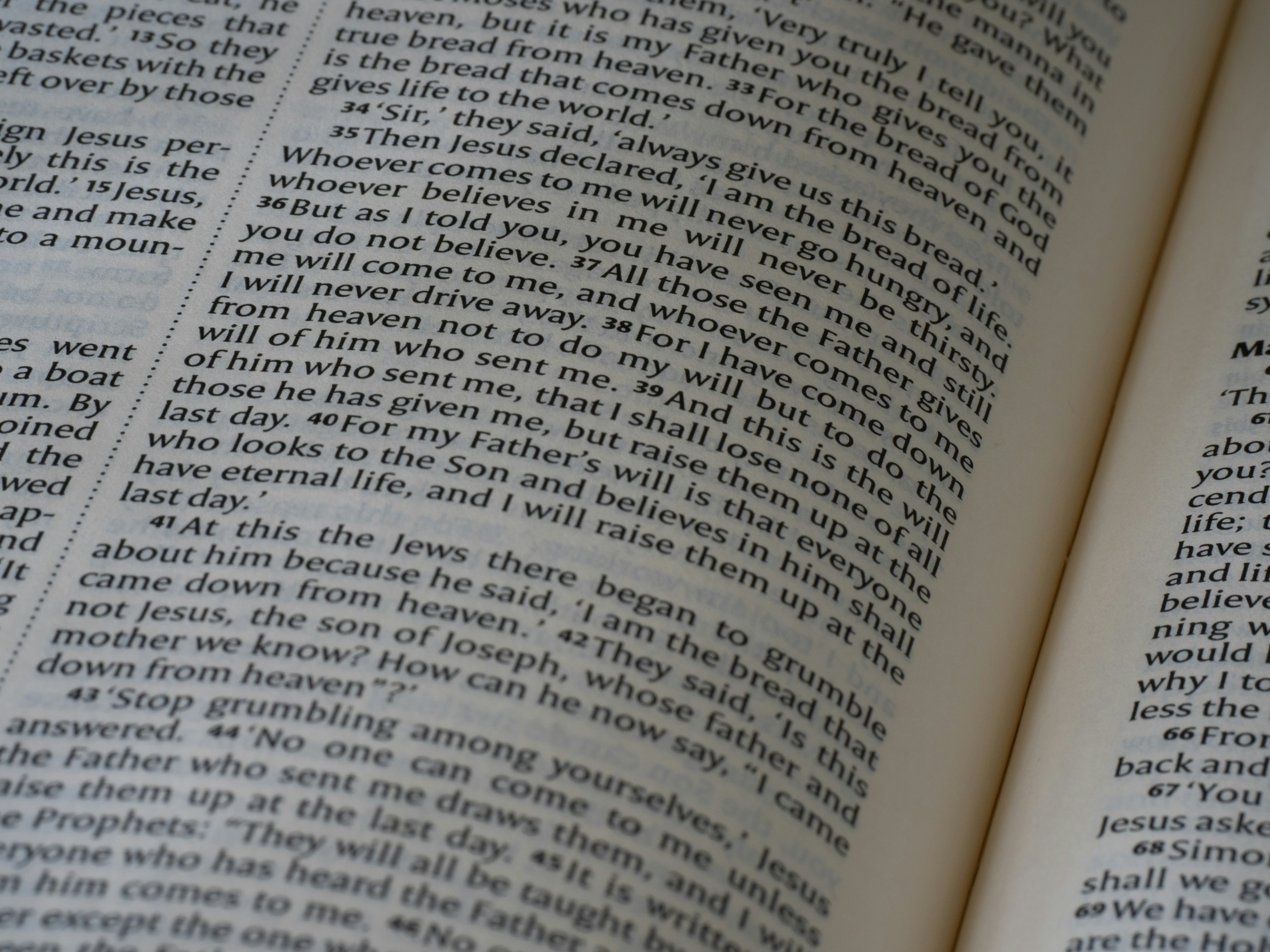 Photo by brett_jordan