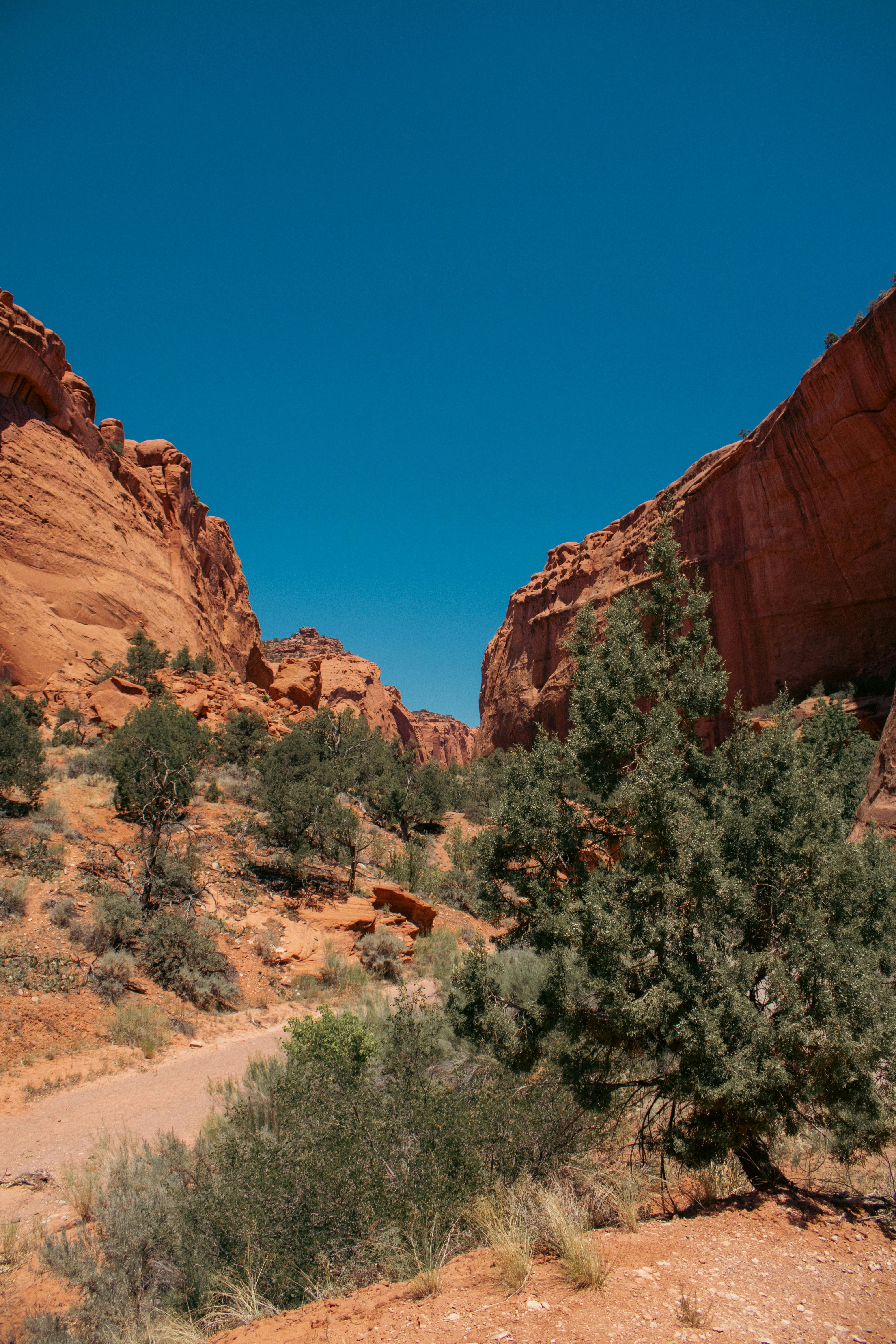 Photo by zoshuacolah