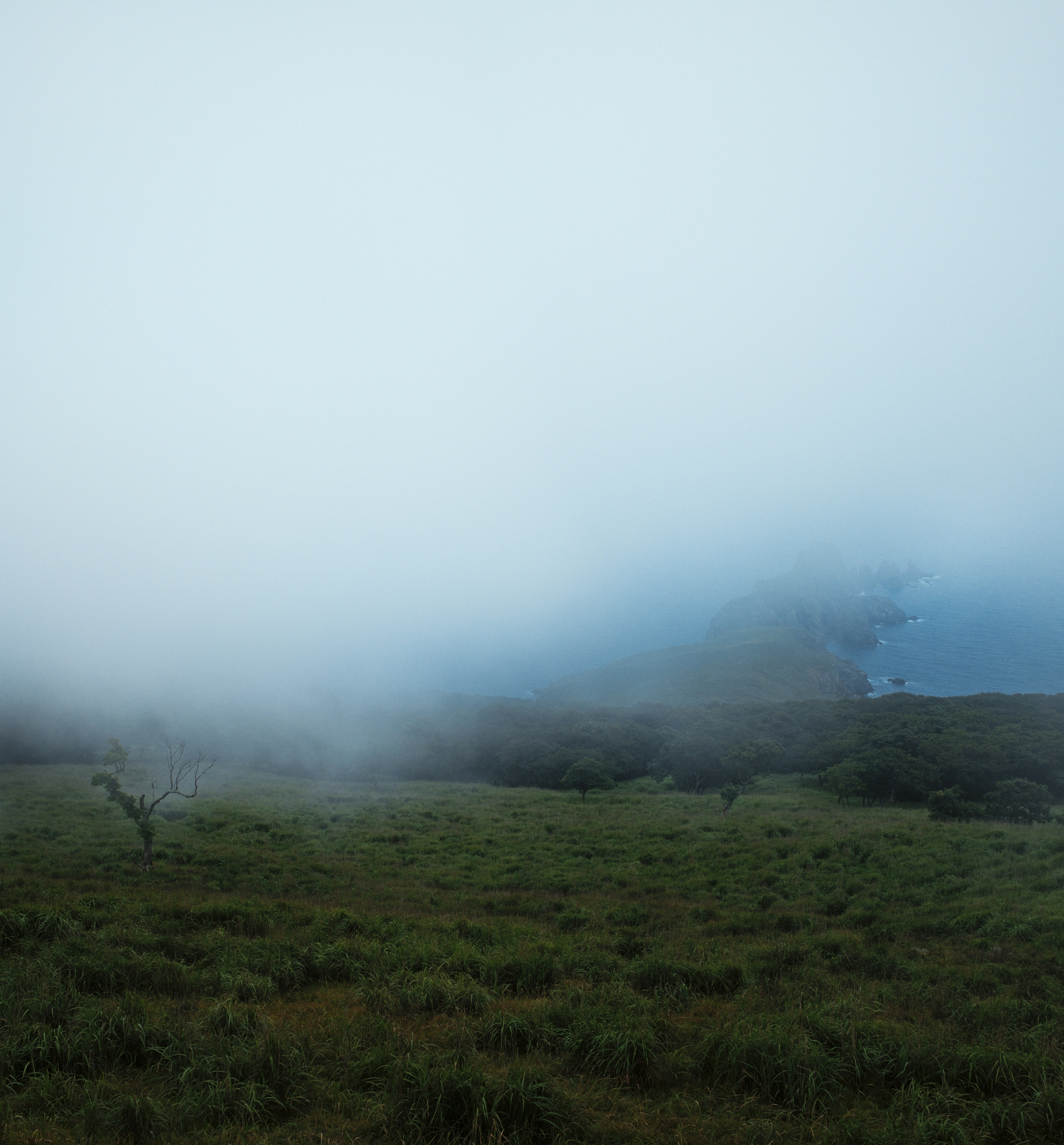 Photo by evil_bumblebee