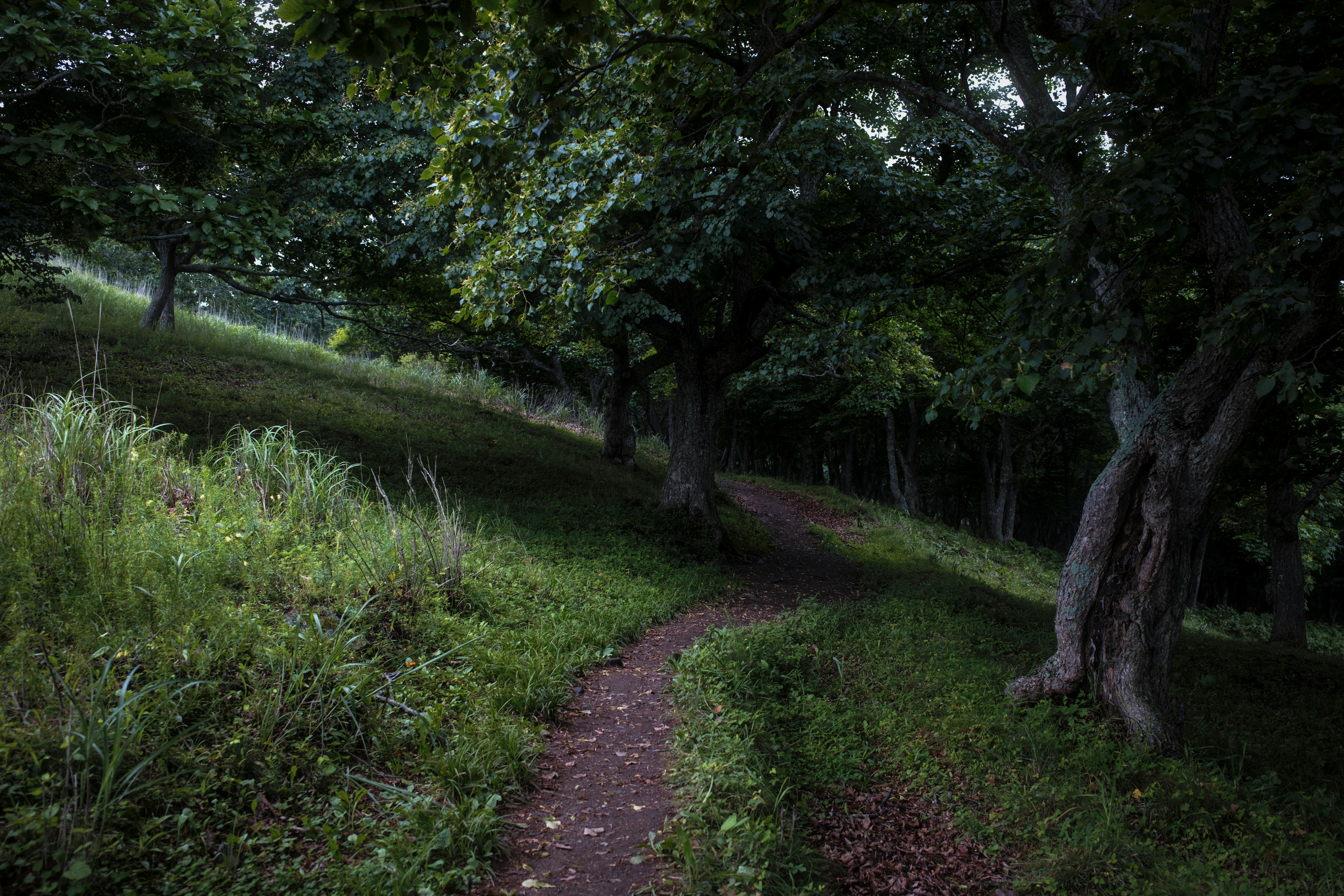 Photo by evil_bumblebee