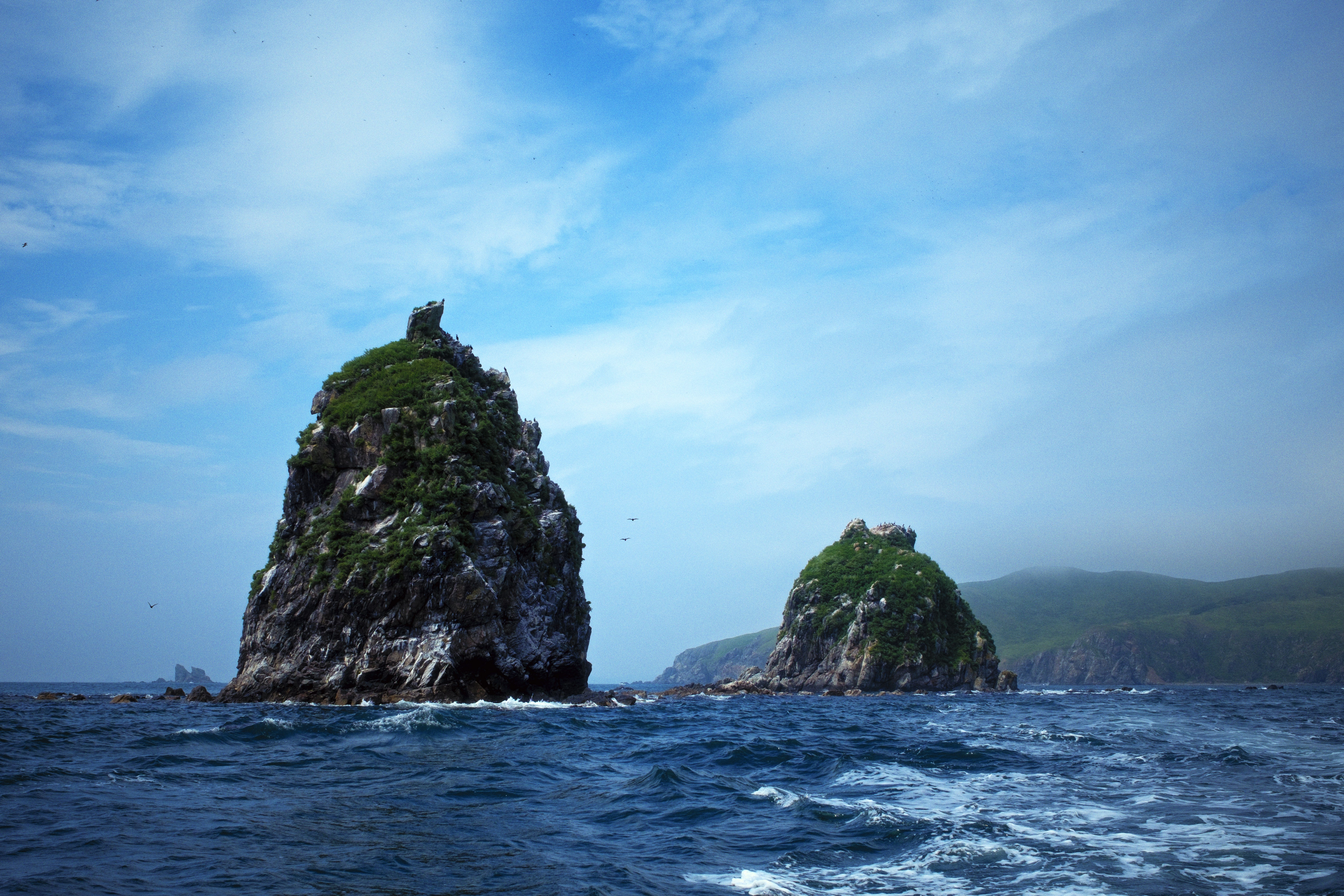 Photo by evil_bumblebee