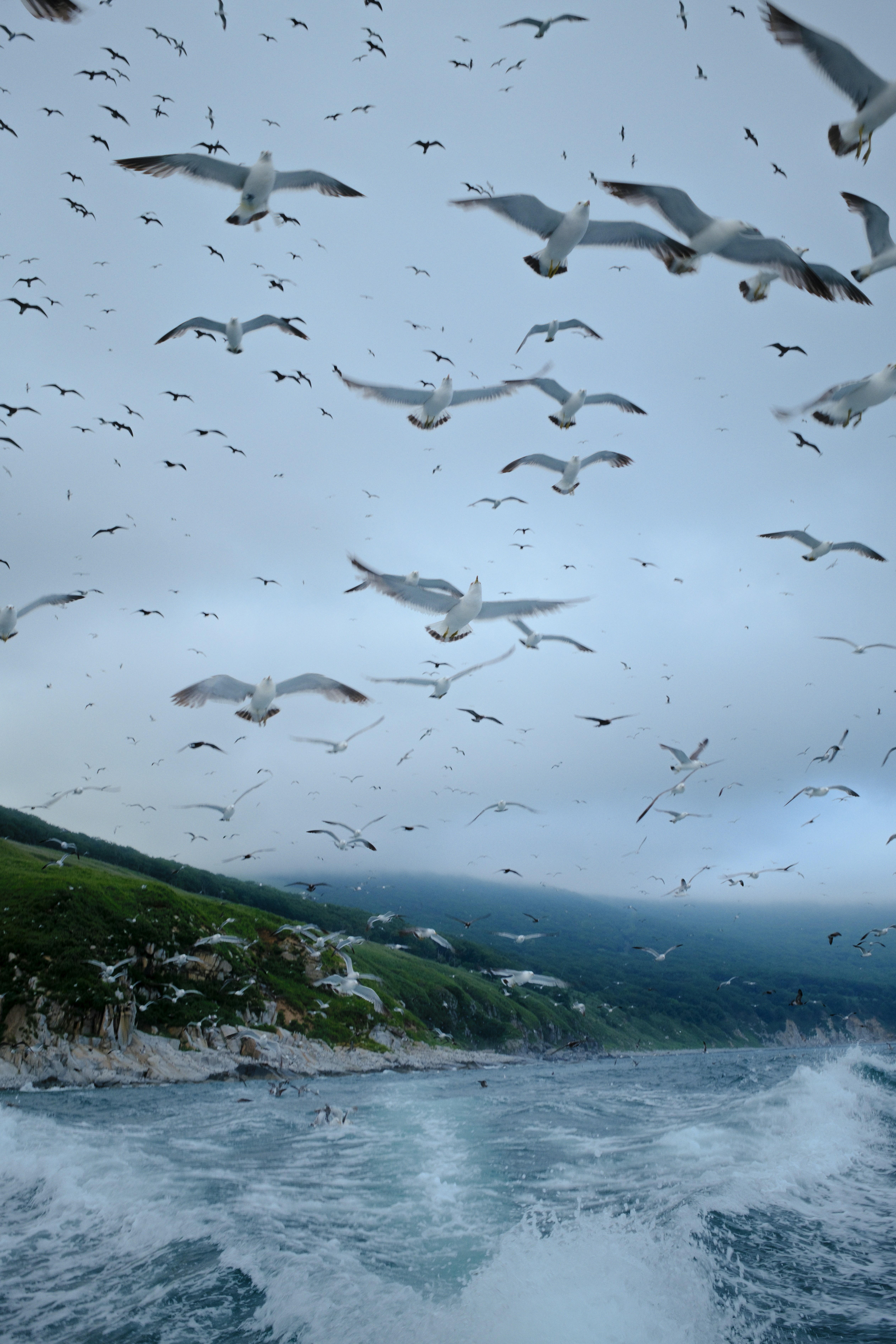 Vladivostok travel photo