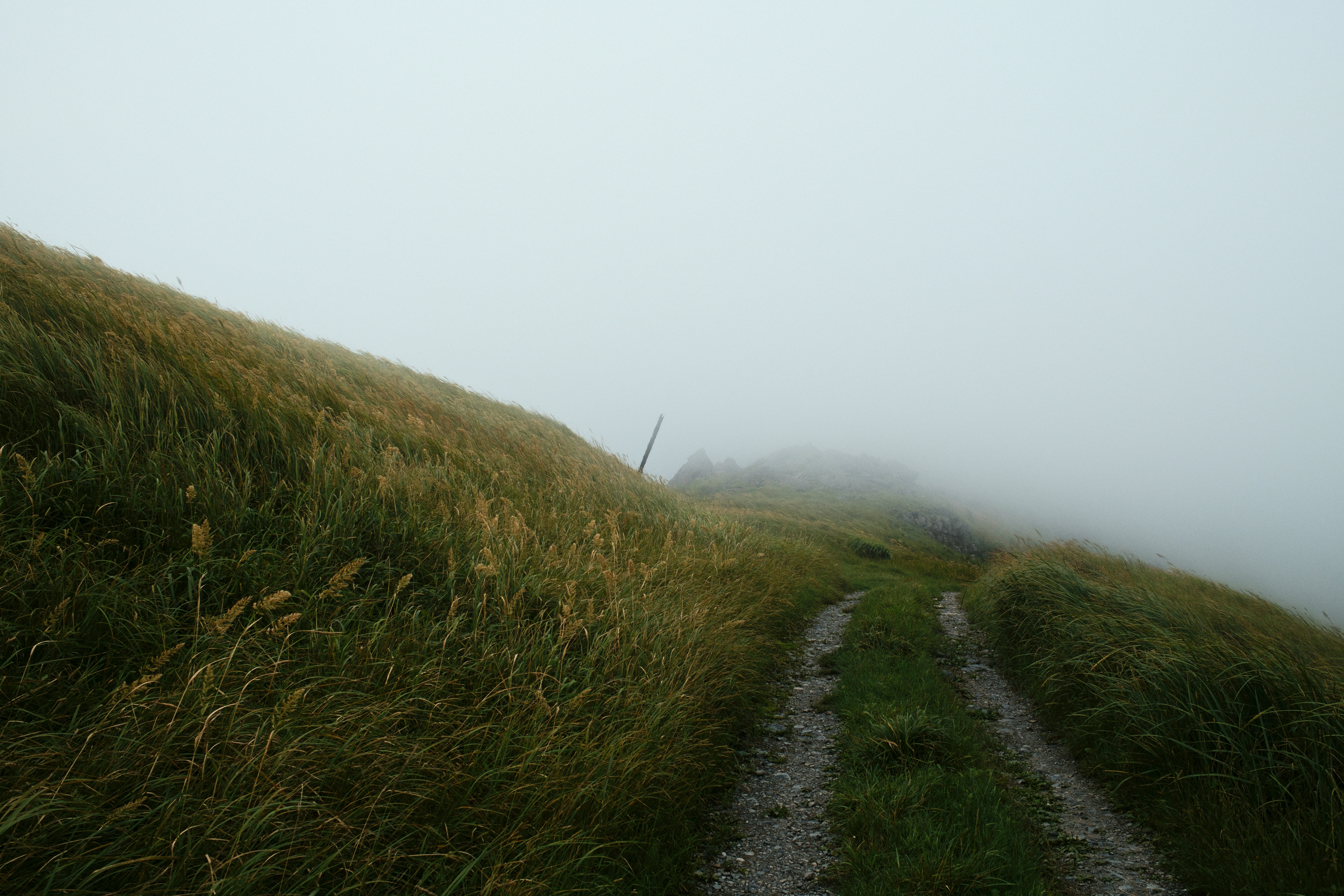 Photo by evil_bumblebee