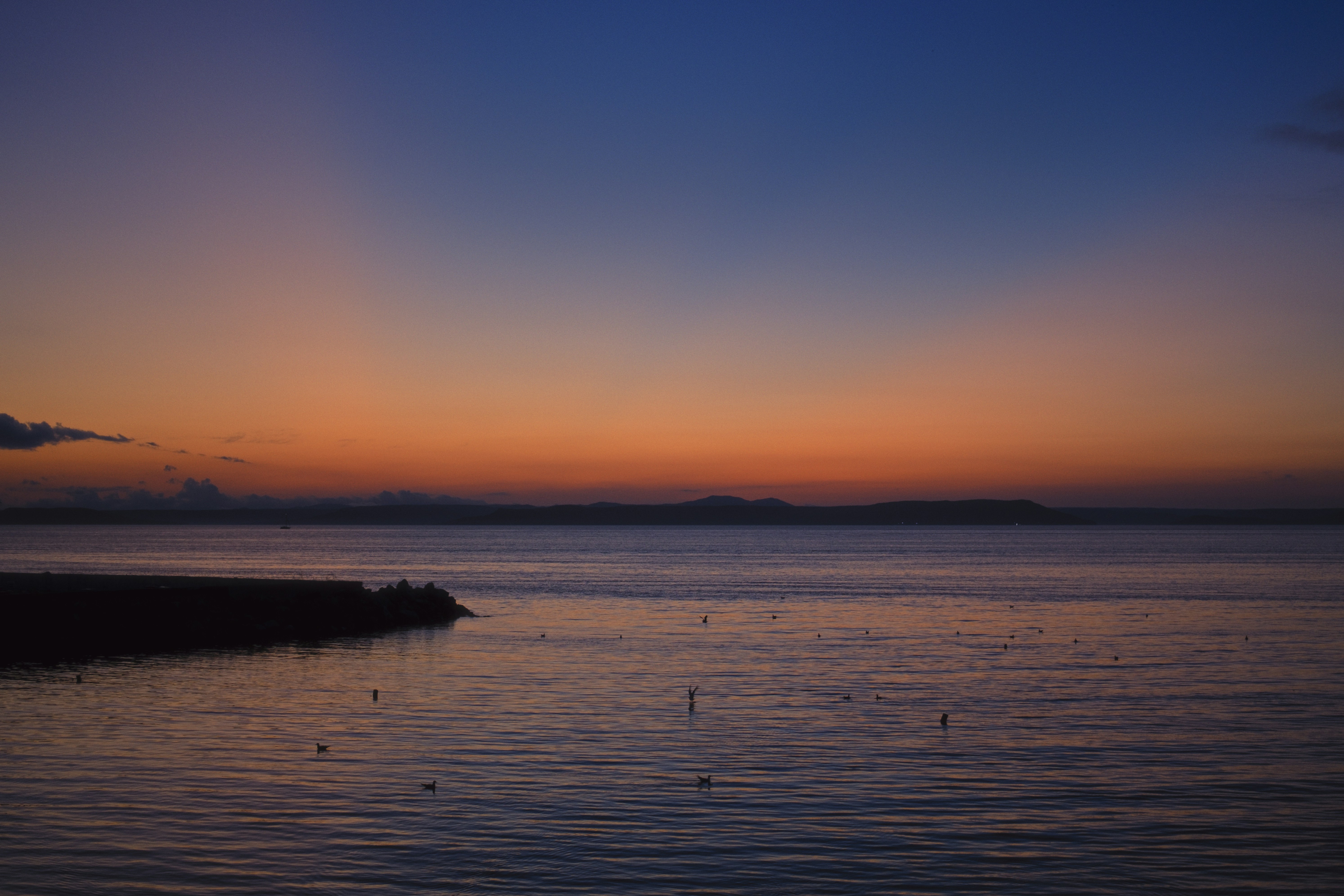 Photo by evil_bumblebee